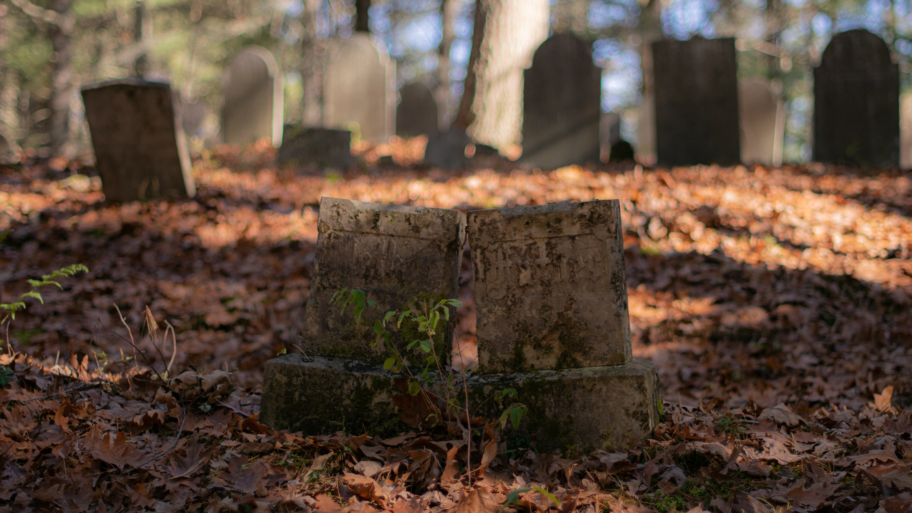 General 3840x2160 cemetery tombstones foliage leaves fall Kyle Larivee