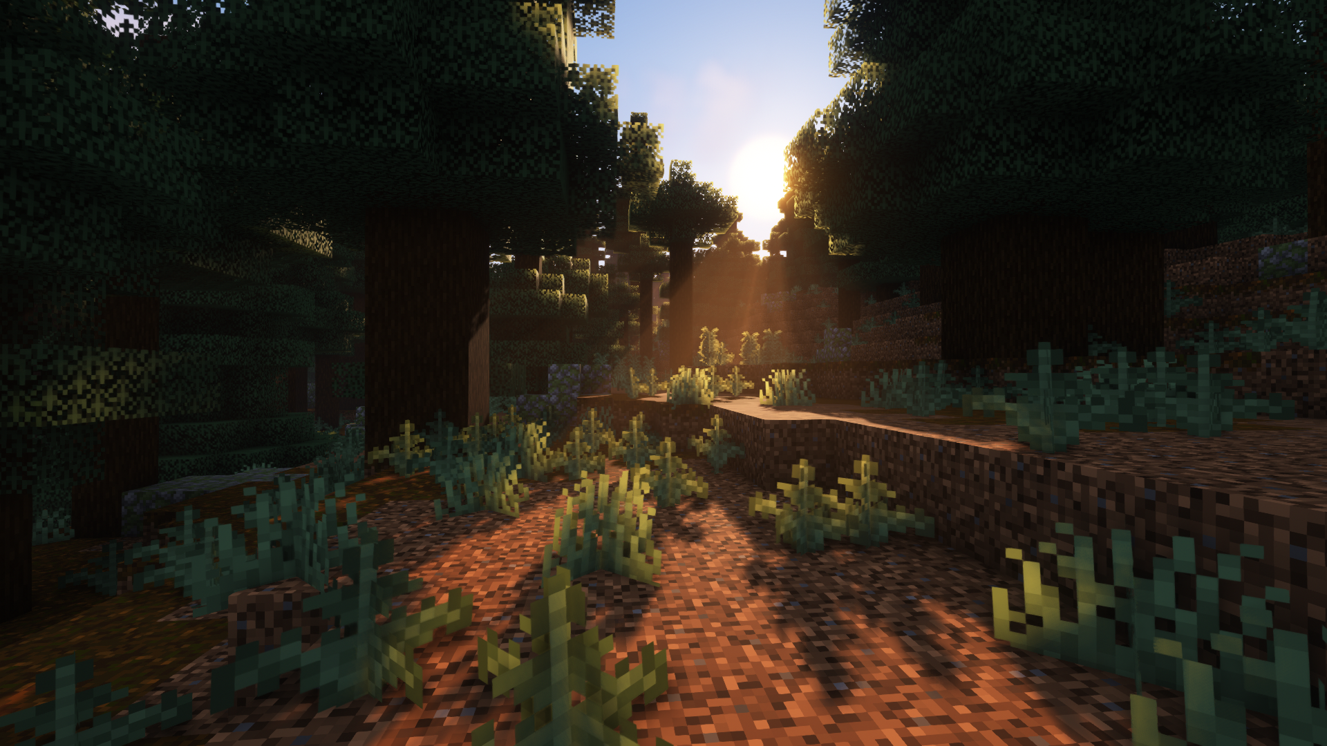 General 1920x1080 Minecraft shaders Aestheticc Meme video games forest trees