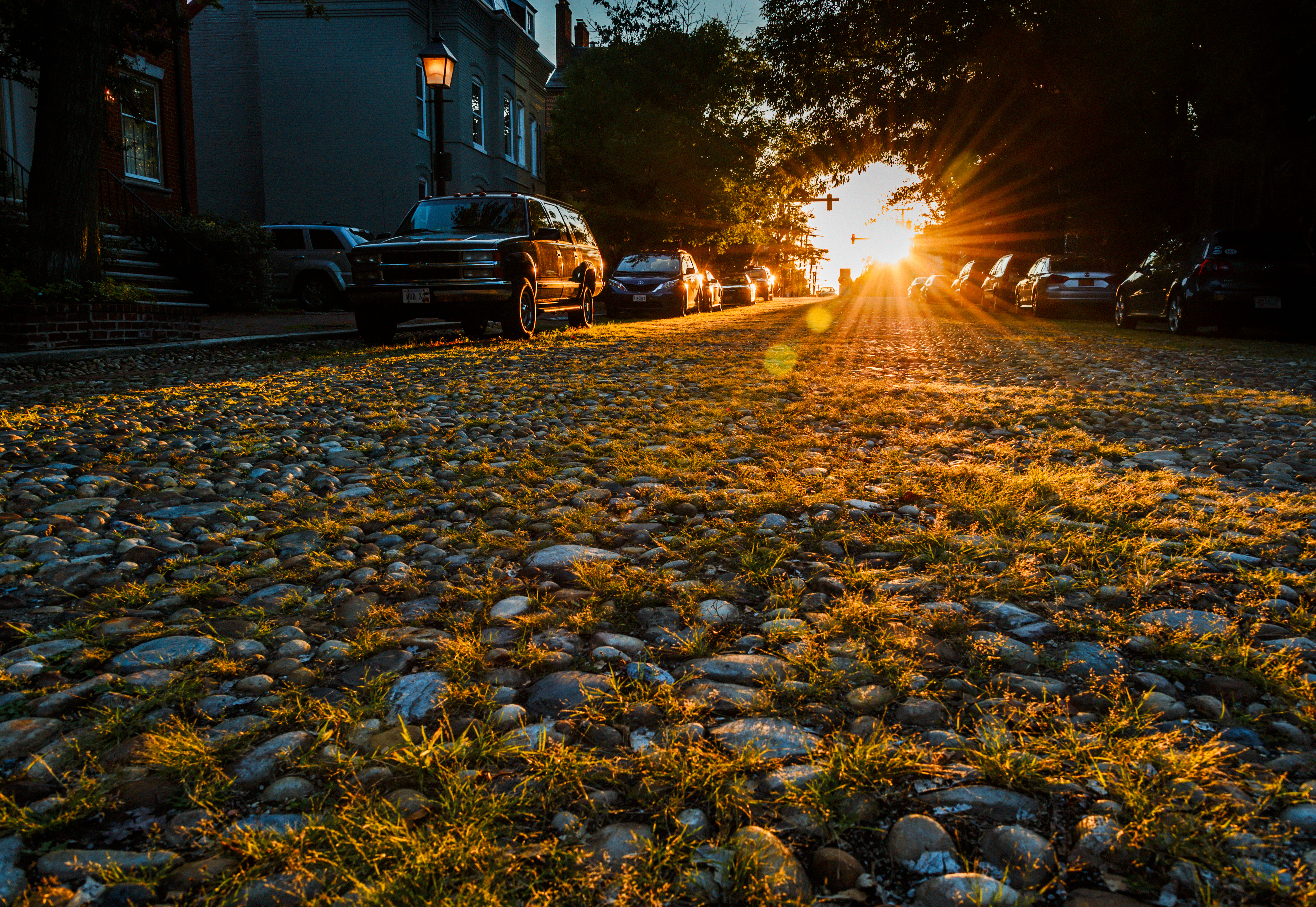 General 4656x3208 Alexandria, VA sunset cobblestone street road grass sunlight car house trees