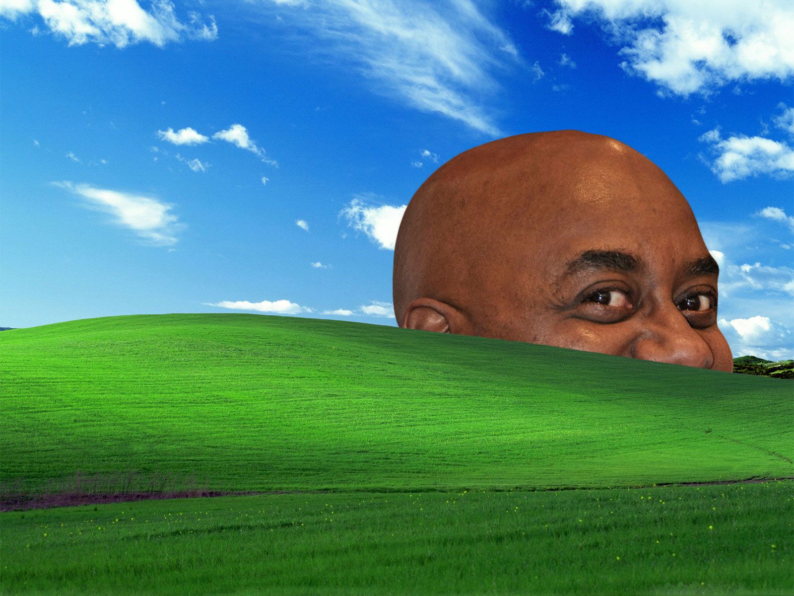 General 1600x1200 grass nature sky black guy Ainsley Harriott bliss humor parody Windows XP Charles O'Rear