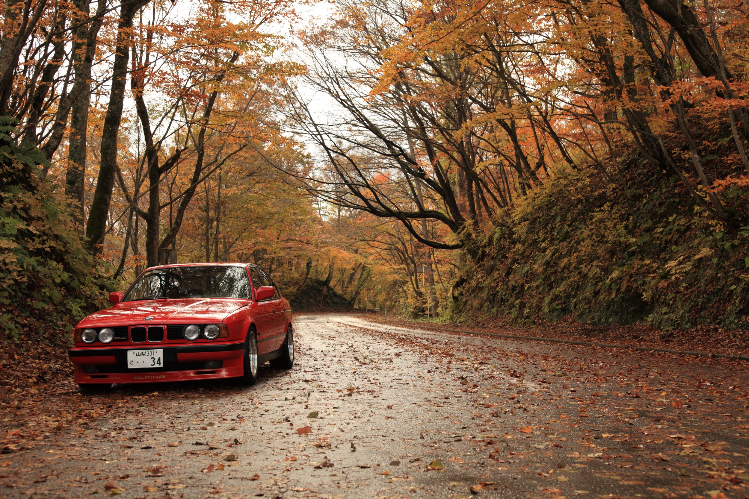 General 2500x1667 BMW fall car road vehicle red cars trees BMW E30