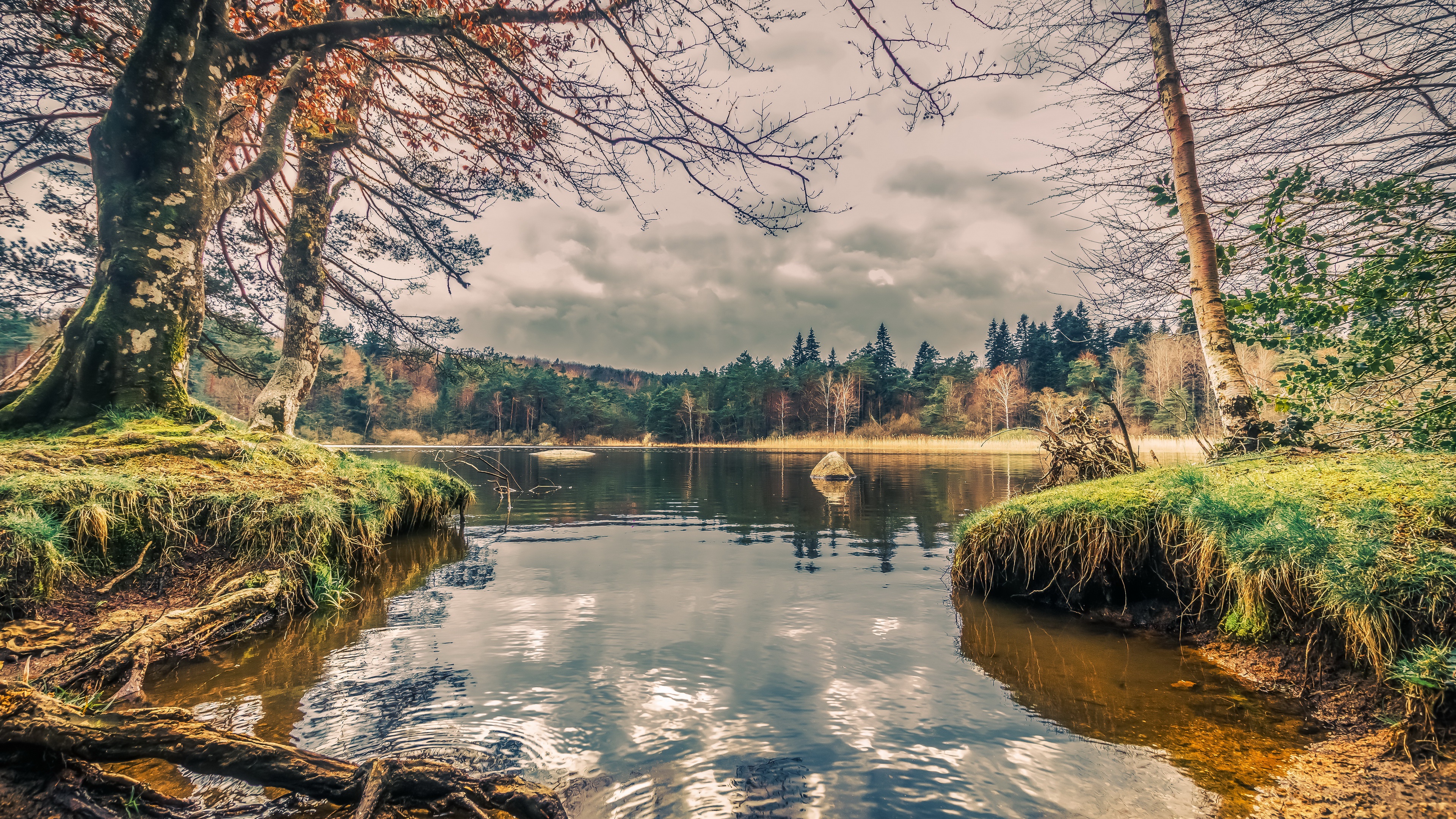 trees, water, lake, outdoors, nature, HDR | 3840x2160 Wallpaper - wallhaven .cc