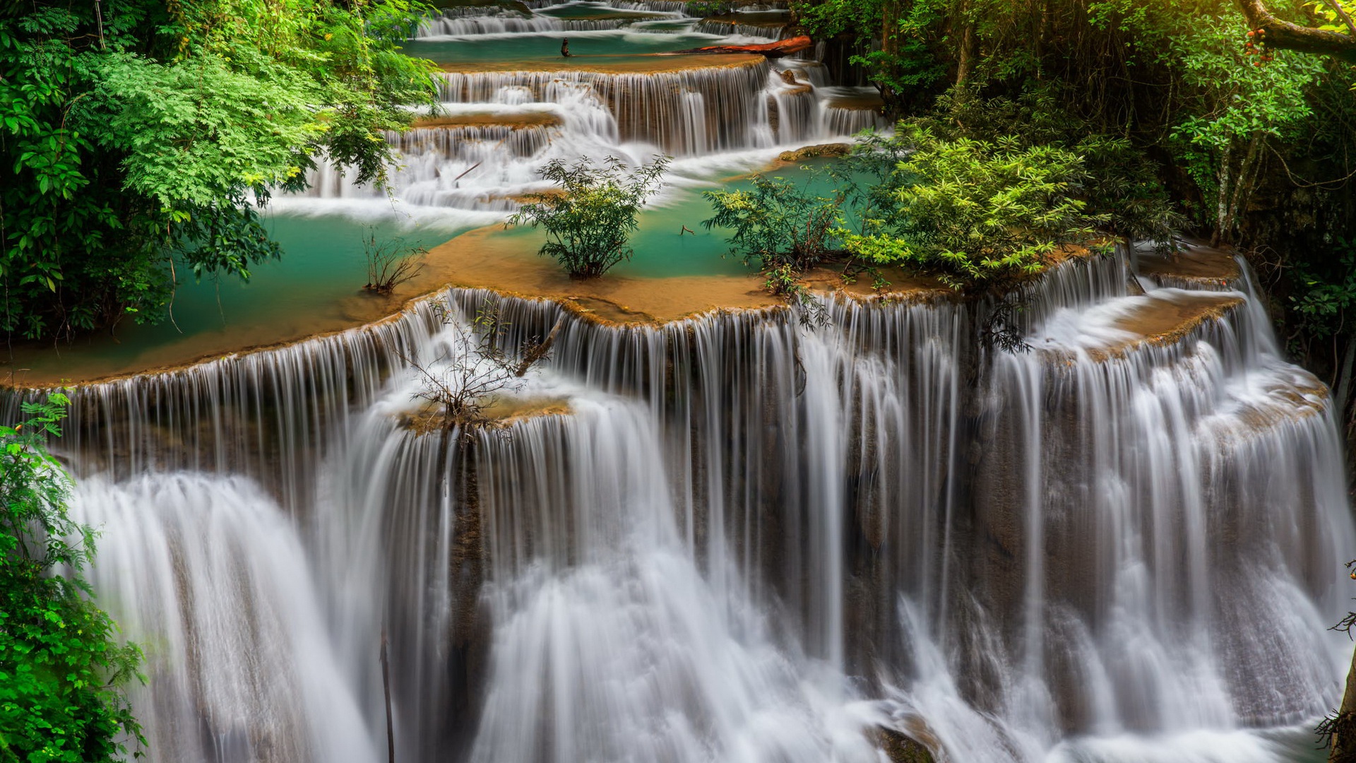 General 1920x1080 landscape nature river forest plants waterfall