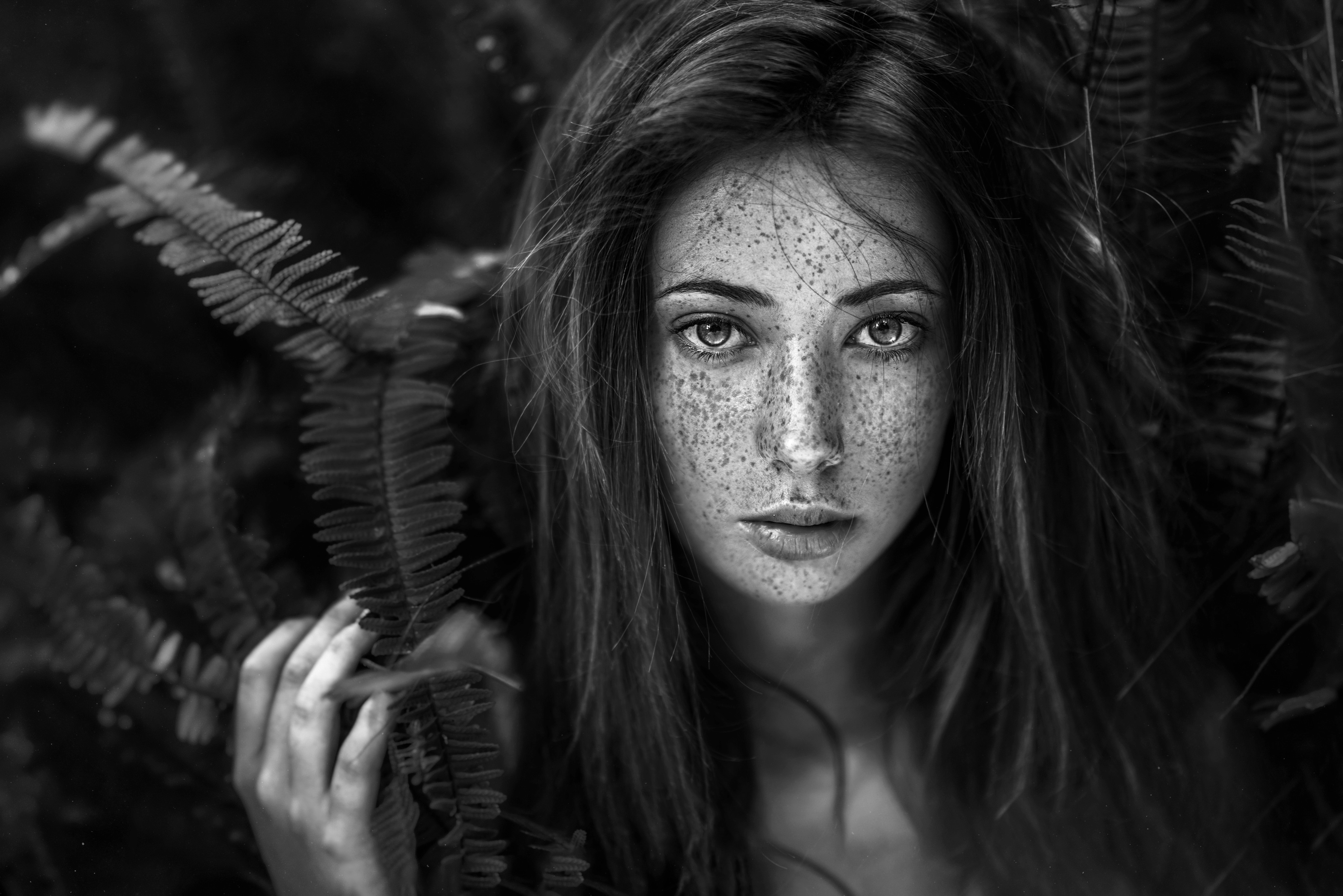 People 4096x2734 women model portrait face freckles bokeh closeup ferns plants frontal view monochrome outdoors women outdoors Gustavo Terzaghi parted lips