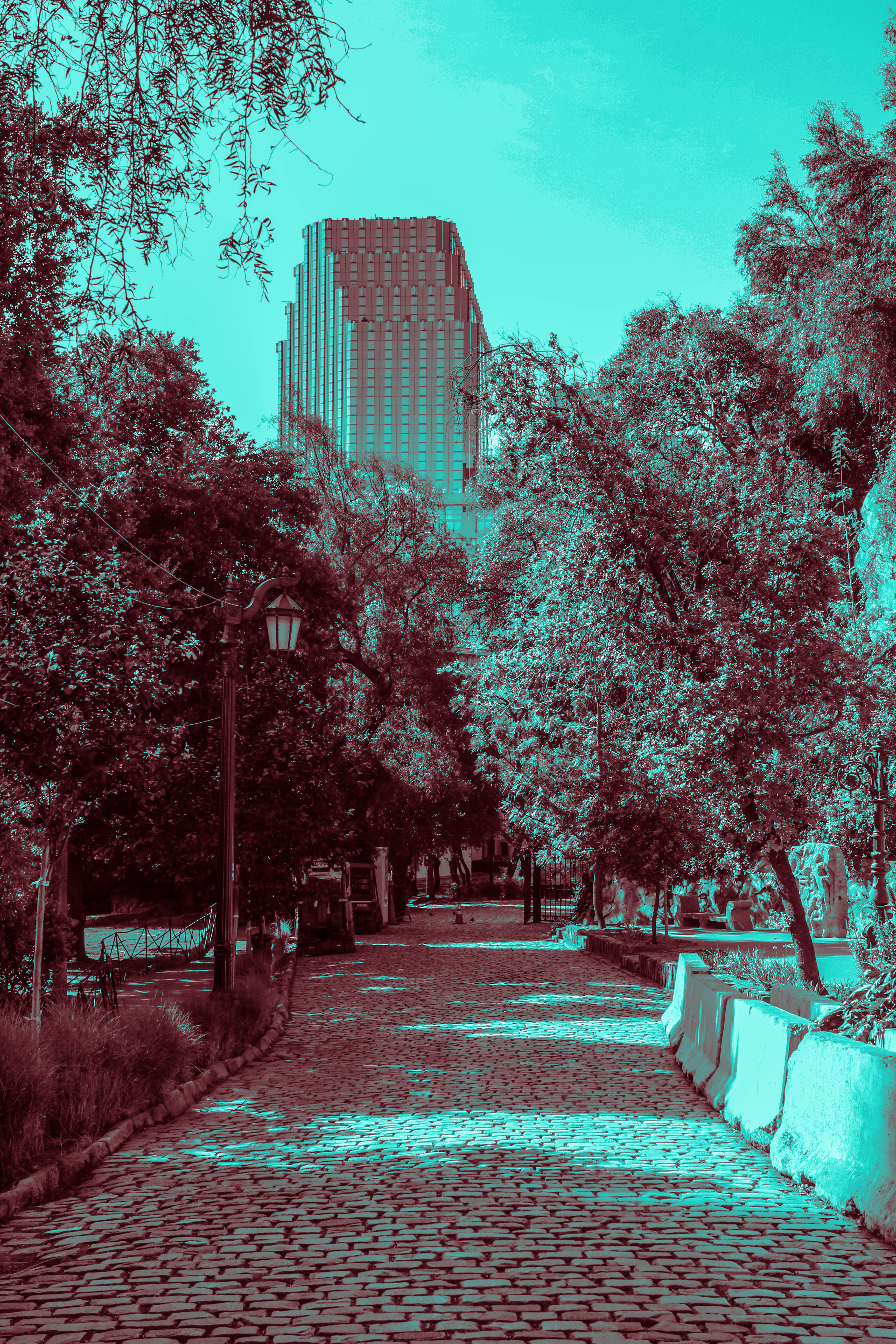 General 3456x5184 street urban city cyan monochrome trees portrait display