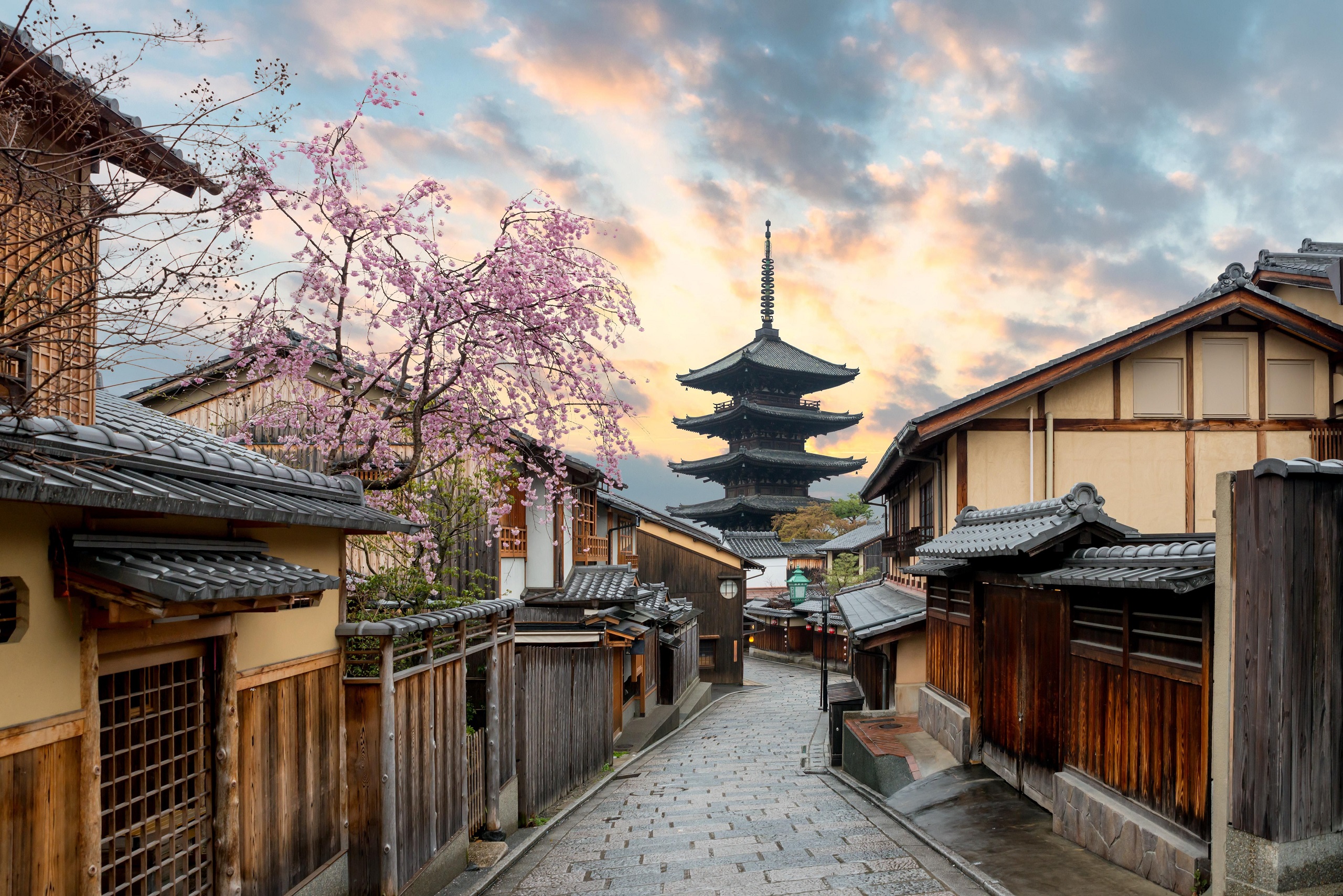 General 2560x1708 Japan cherry blossom street Asia urban outdoors