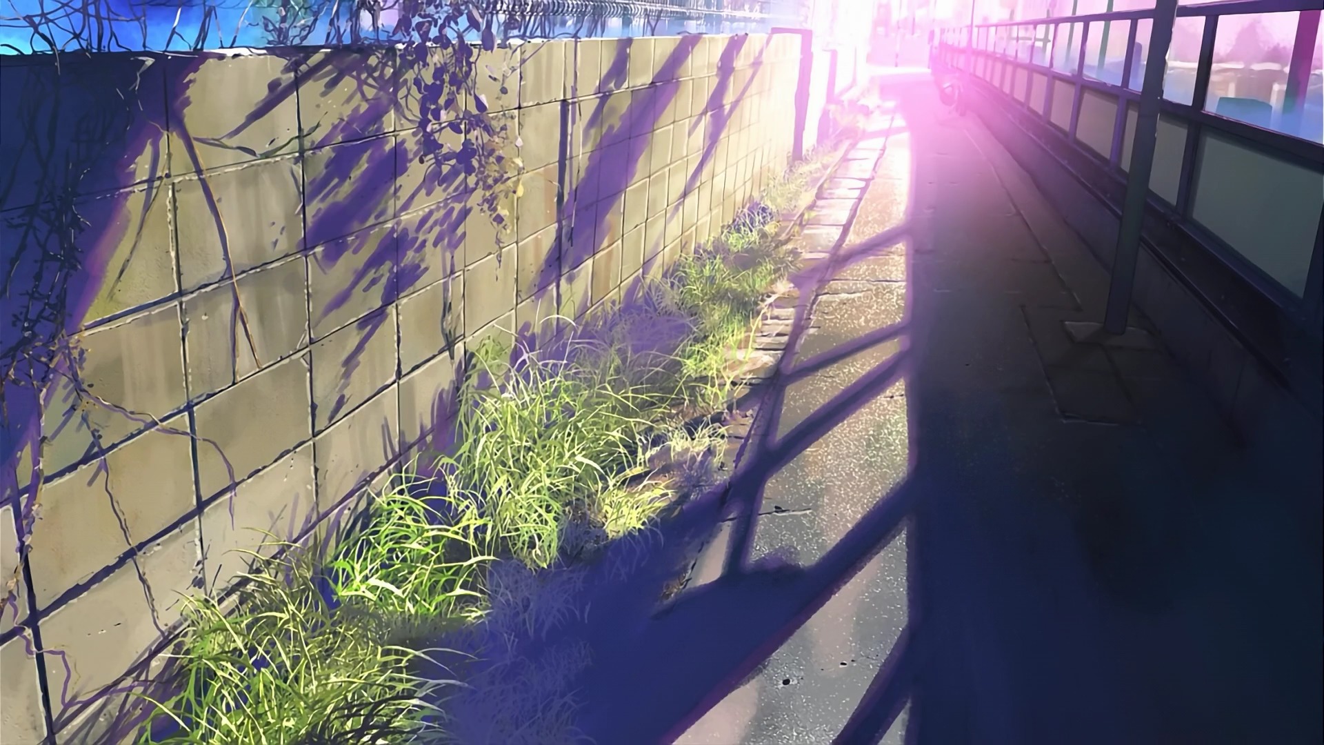 Anime 1920x1080 5 Centimeters Per Second urban plants