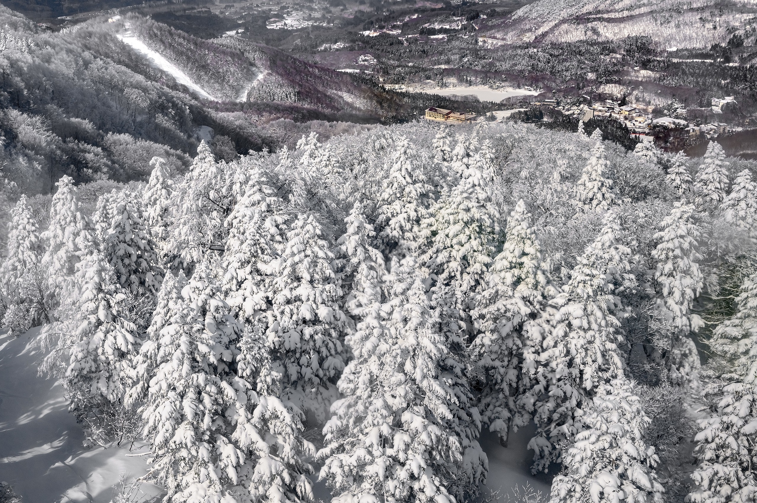 General 2560x1703 winter snow landscape cold Japan trees