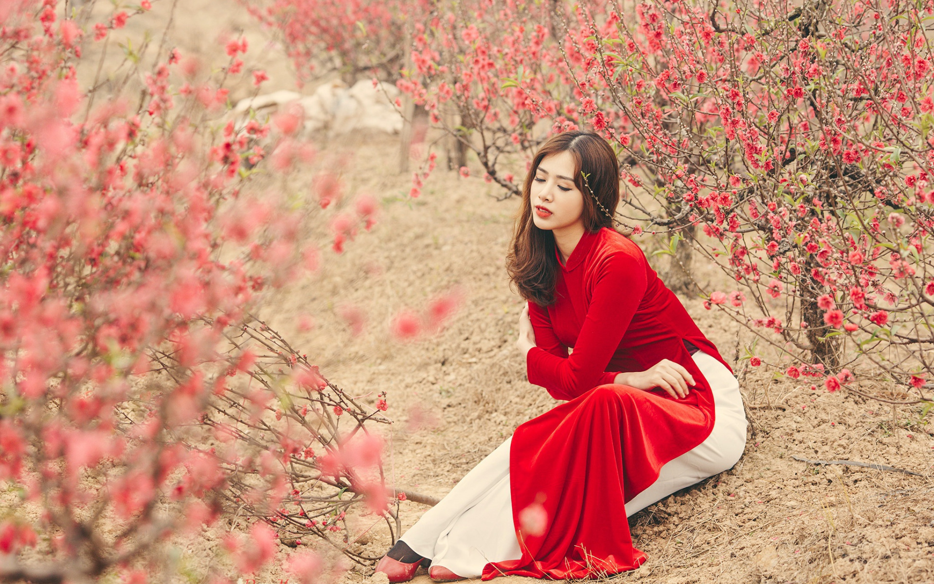 People 1920x1200 women model Asian plants red women outdoors brunette sitting Vietnamese áo dài Vietnam dress