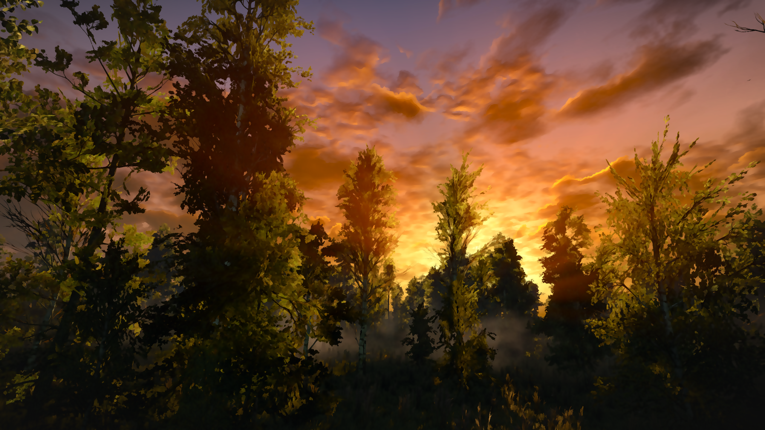 General 2560x1440 The Witcher 3: Wild Hunt landscape screen shot video games trees sunlight RPG