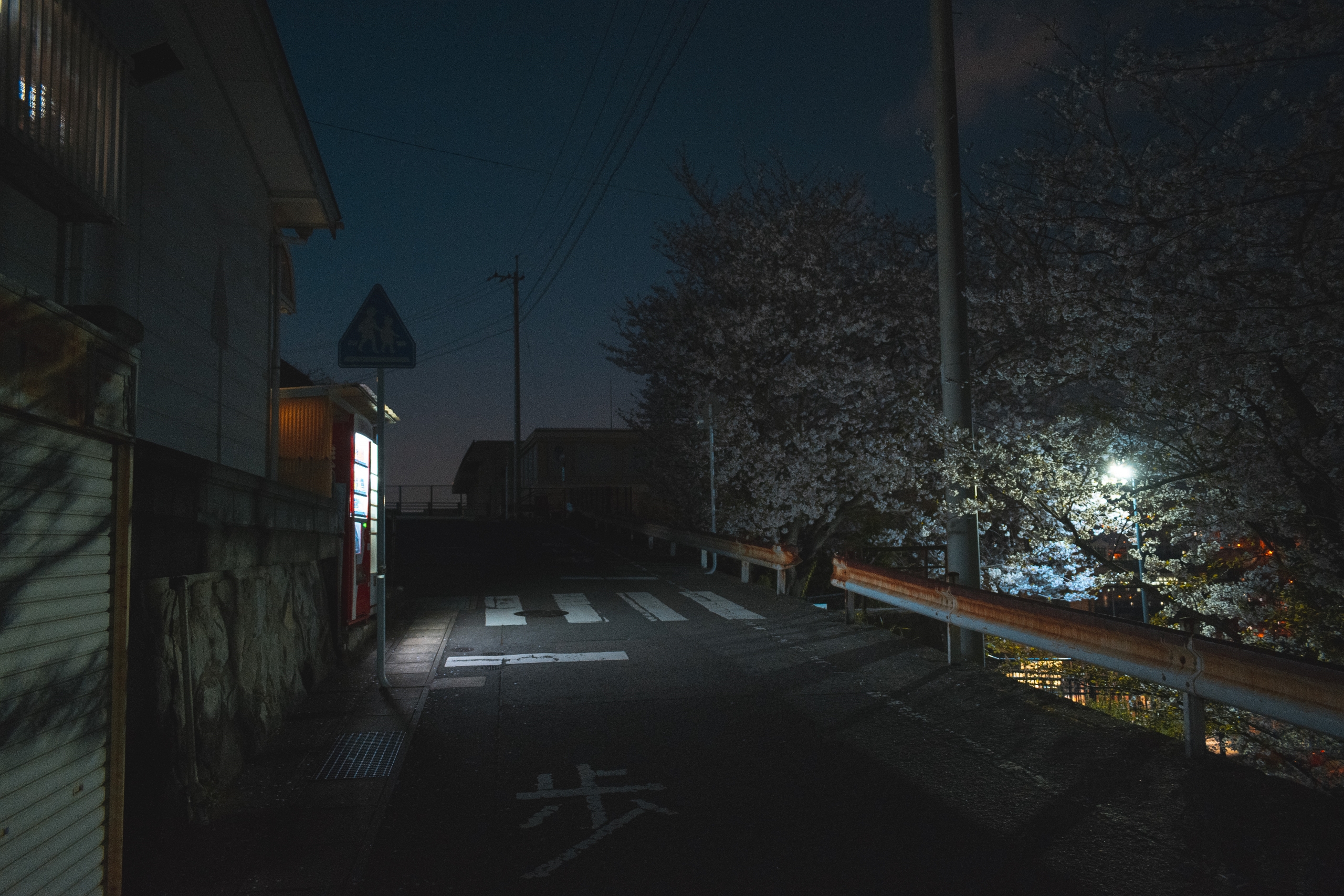 General 2560x1707 Japan Nagasaki night cherry blossom urban street Asia low light