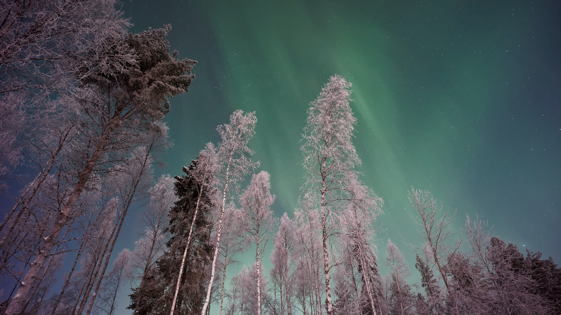 General 1920x1080 nature sky trees stars snow winter aurorae Finland low-angle