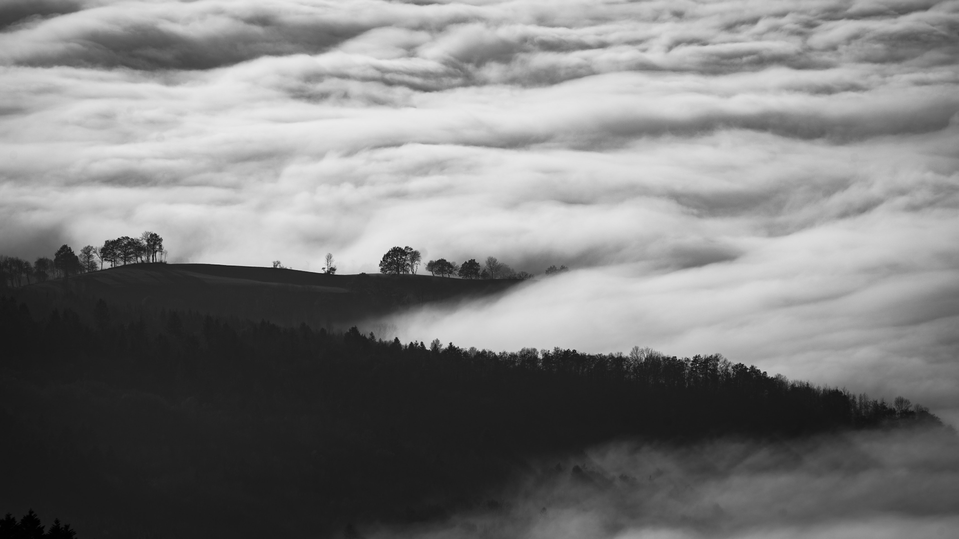 General 1920x1080 nature landscape clouds trees forest mountains monochrome France