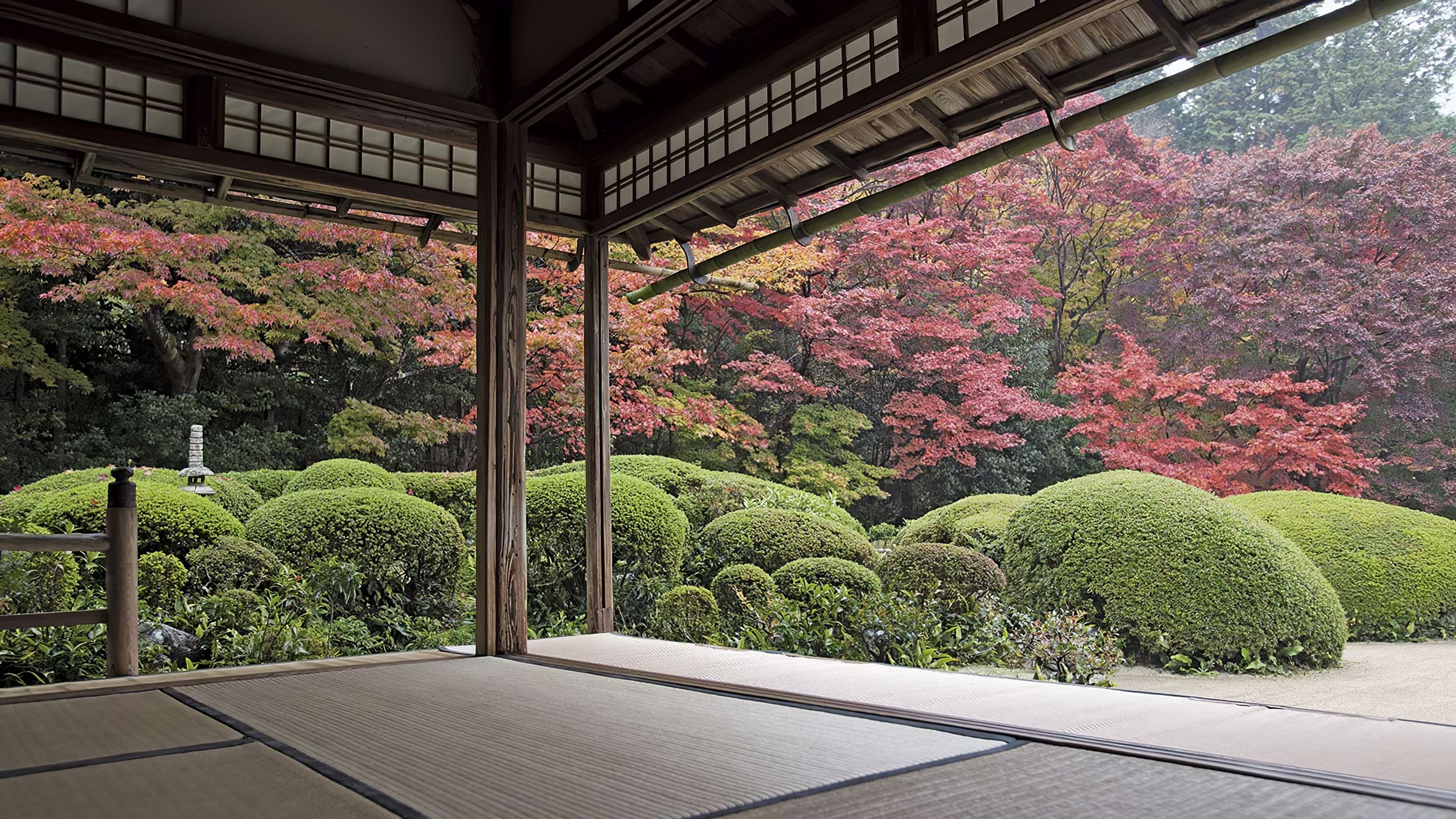 General 2560x1440 Japan garden trees courtyard zen garden