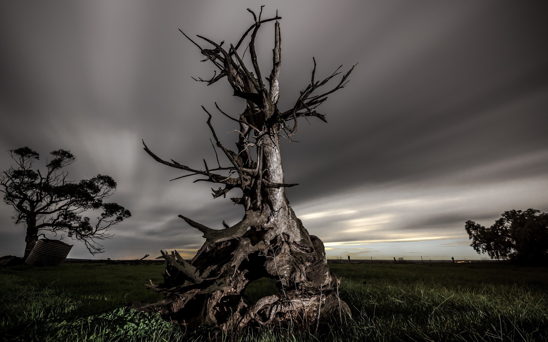 General 1920x1200 nature landscape trees dead trees field grass clouds long exposure evening