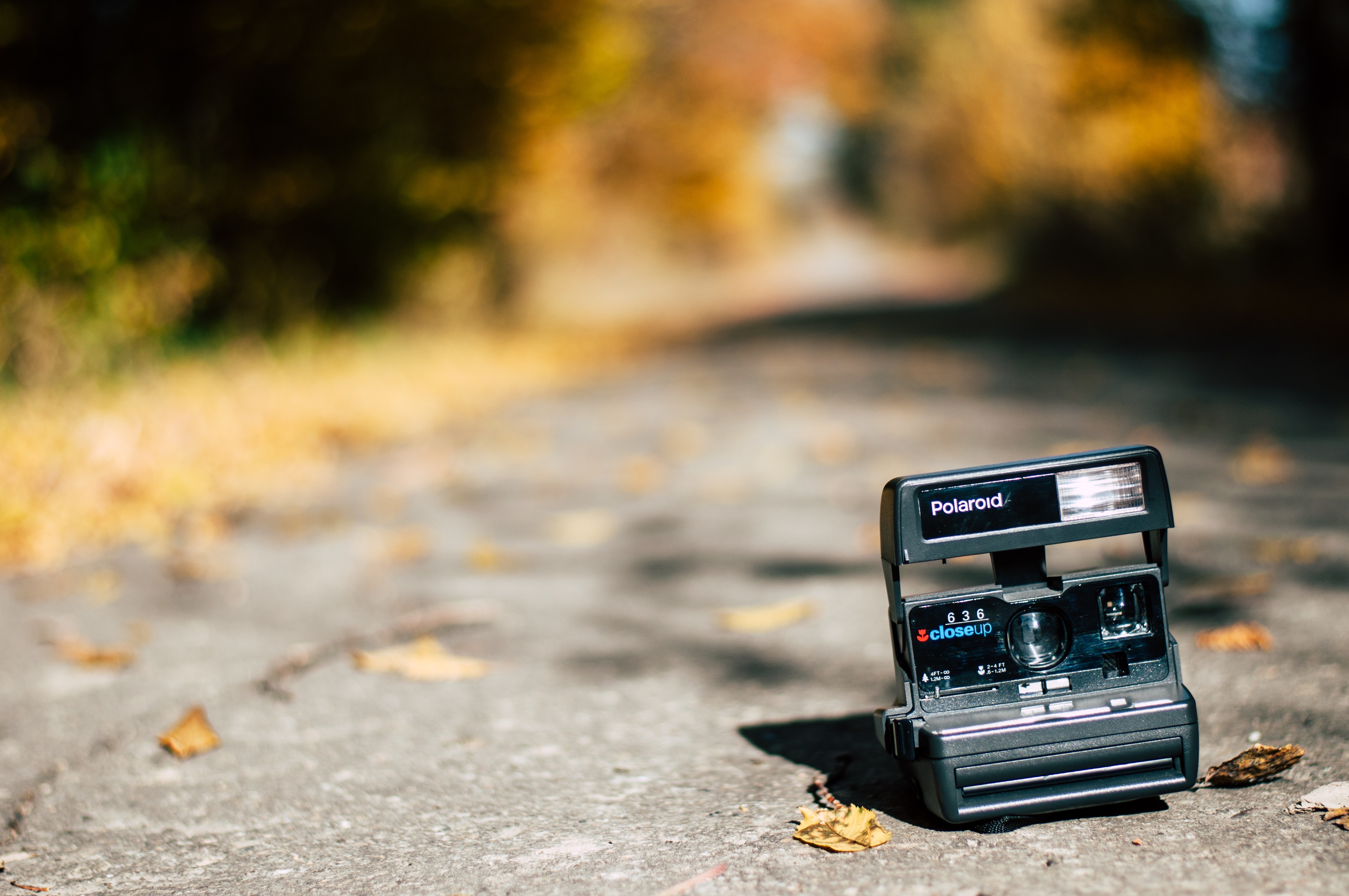 General 4288x2848 polaroid camera leaves road nature technology on the ground depth of field