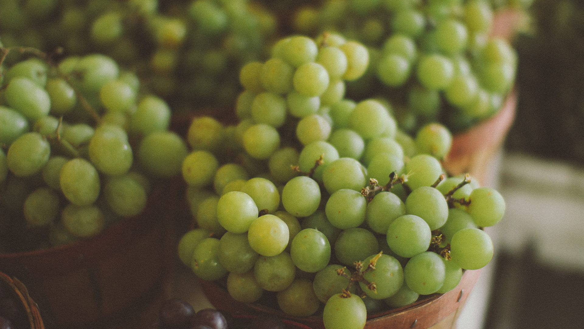 General 1920x1080 grapes photography fruit food green