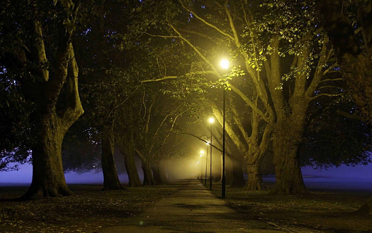 General 1230x771 photography lantern trees path lights park UK