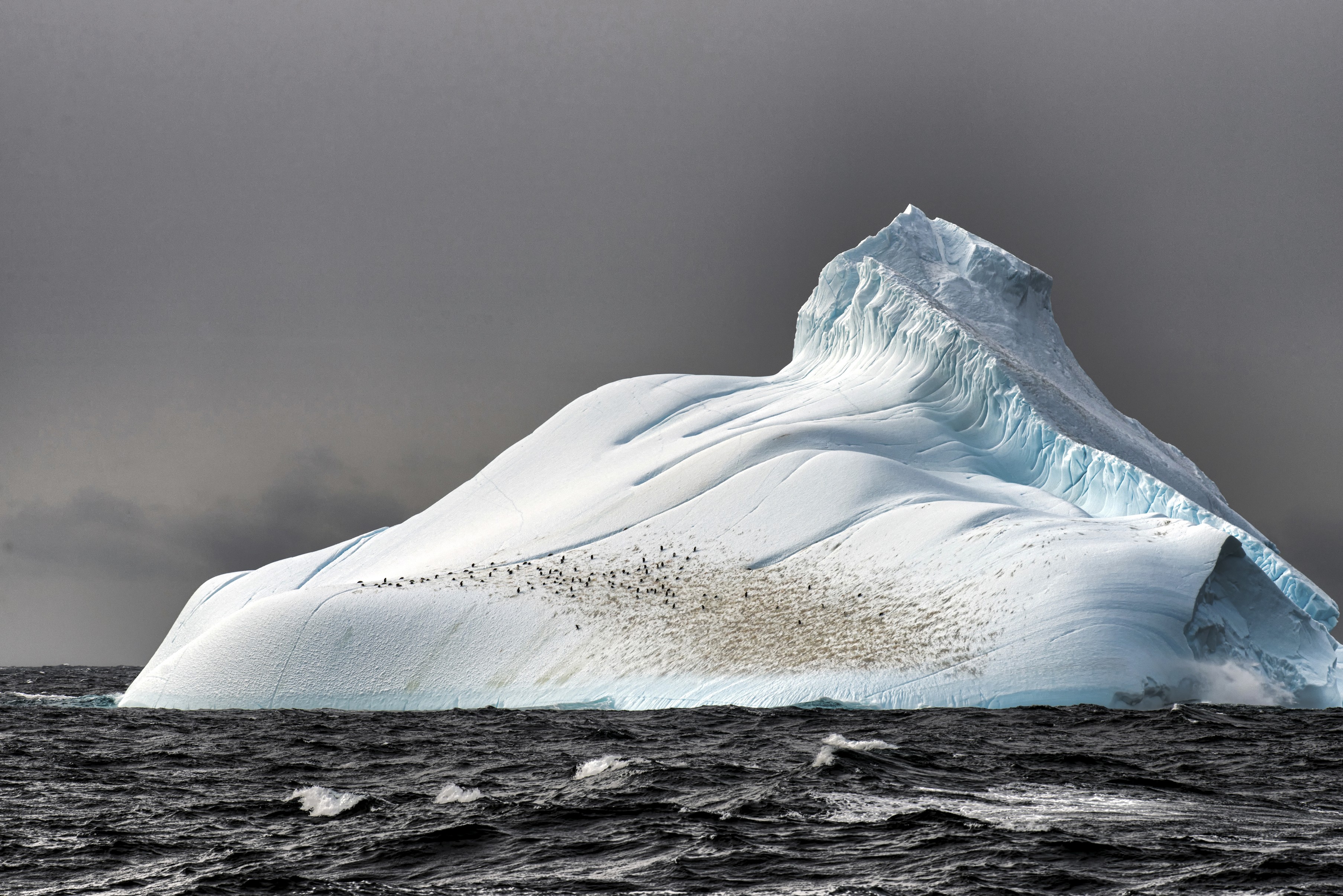 General 3613x2411 iceberg sea nature penguins Antarctica Arctic
