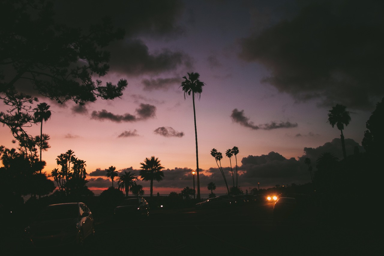 General 1280x853 landscape photography palm trees car evening