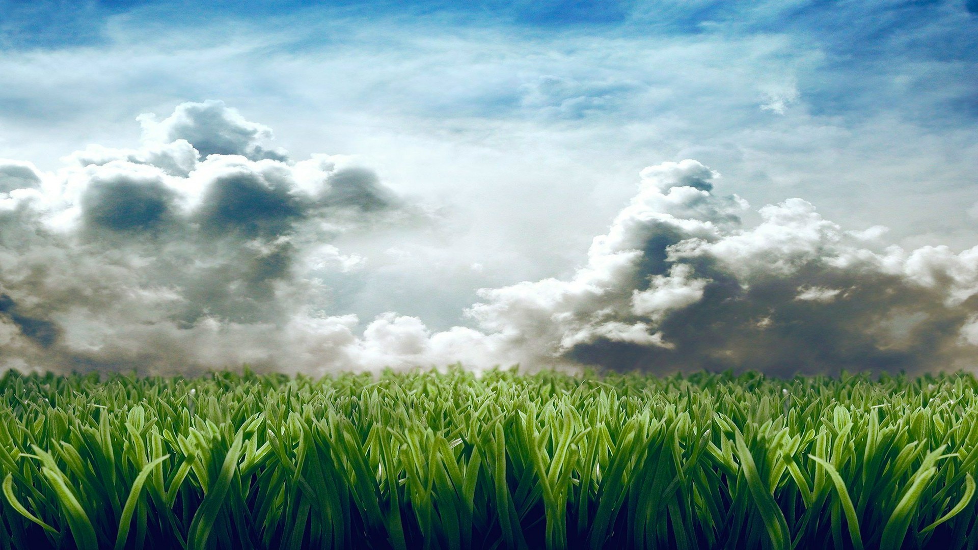 General 1920x1080 grass clouds digital art Agro (Plants) sky plants