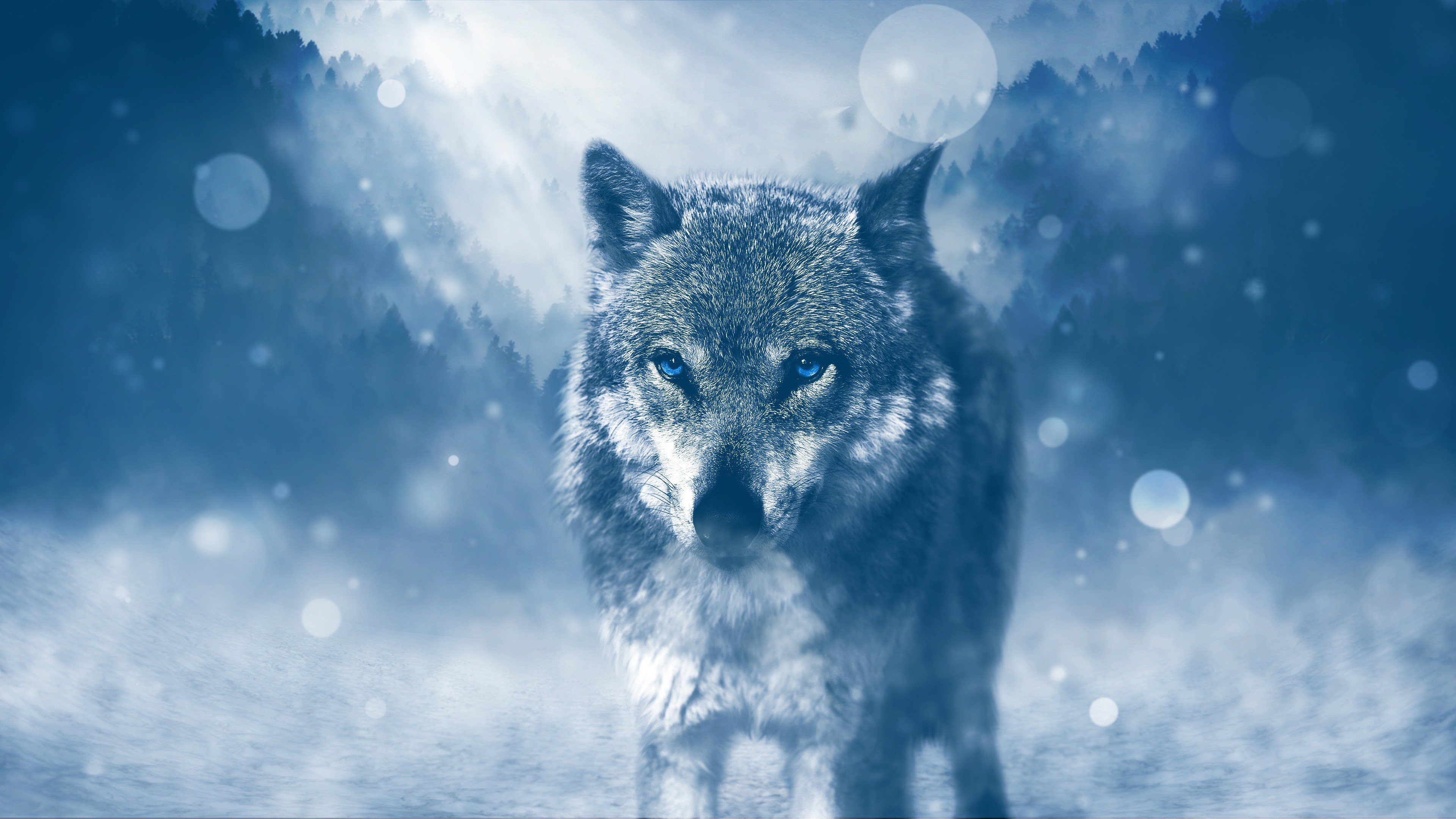 General 3840x2160 wolf photo manipulation snow blue cold