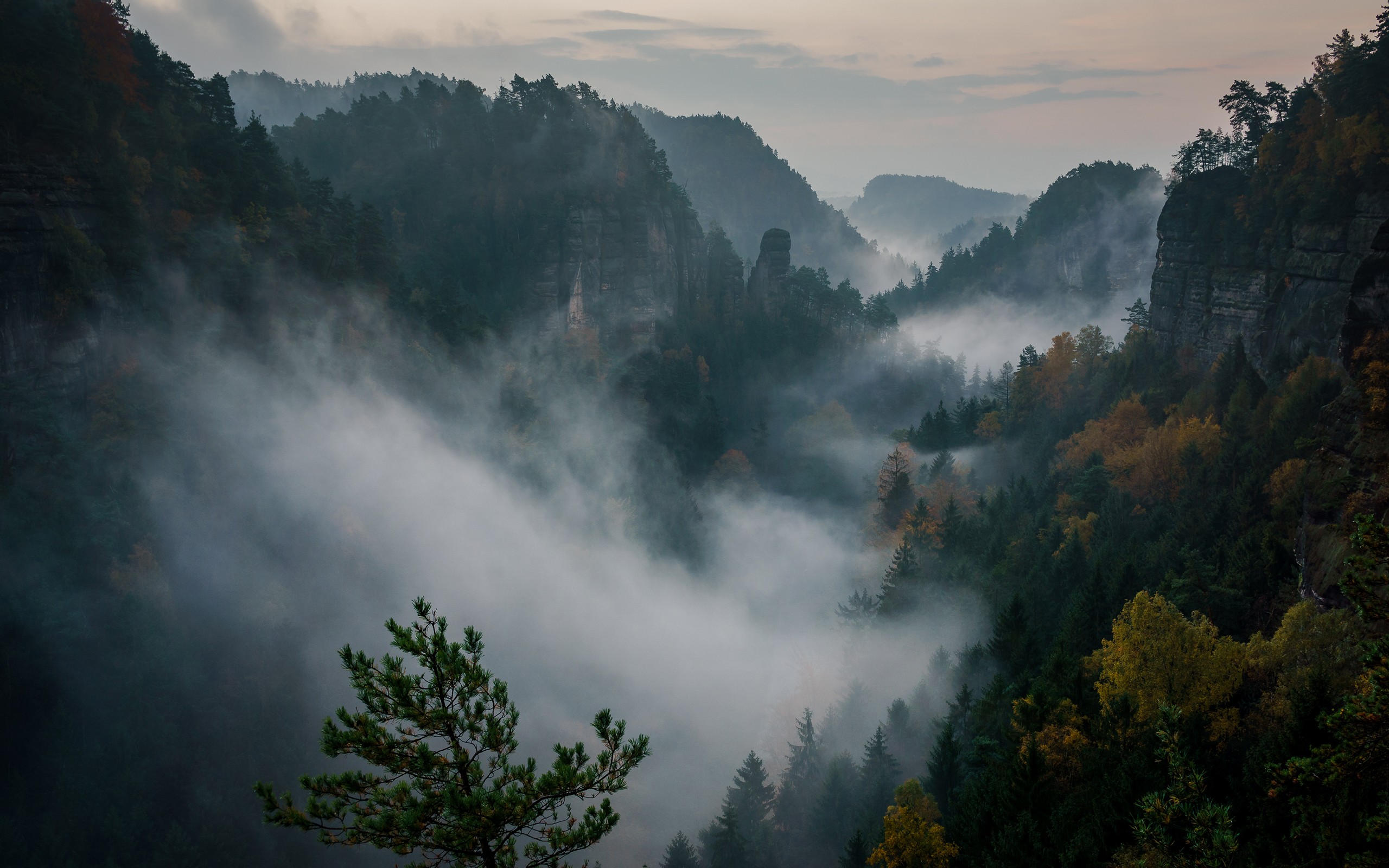General 2560x1600 mountains nature forest mist Switzerland