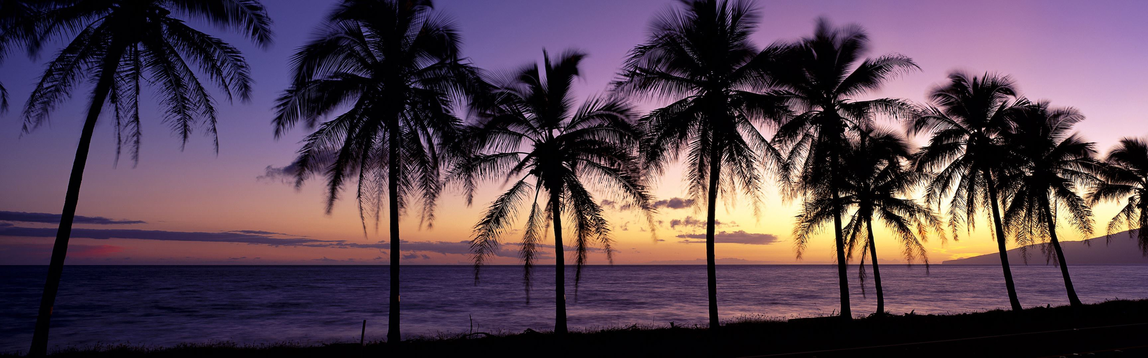 General 3840x1200 beach landscape sunset sunrise palm trees sea dusk nature
