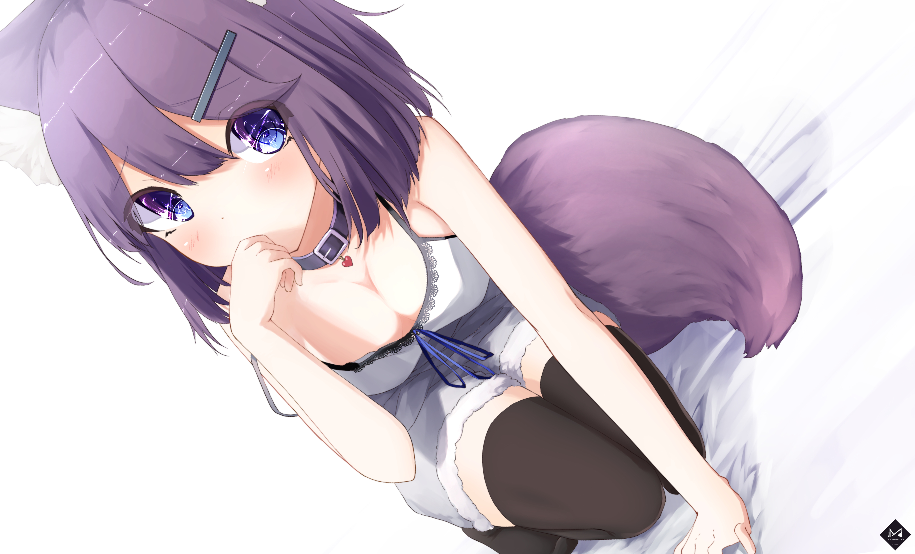 Anime 3624x2196 animal ears blue eyes cleavage collar purple hair ribbon clothing short hair shorts tail thigh-highs white background simple background loli