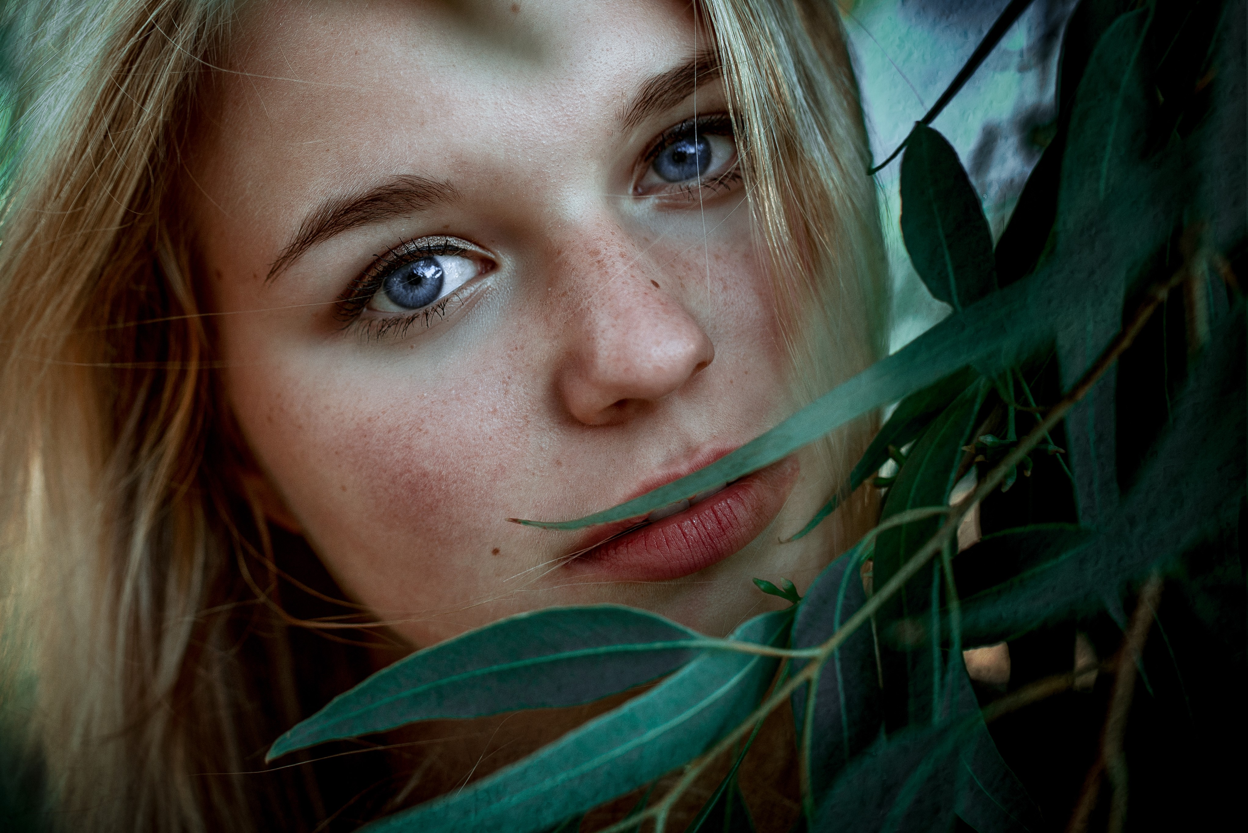 People 4088x2729 women face portrait closeup blonde leaves blue eyes looking at viewer plants model