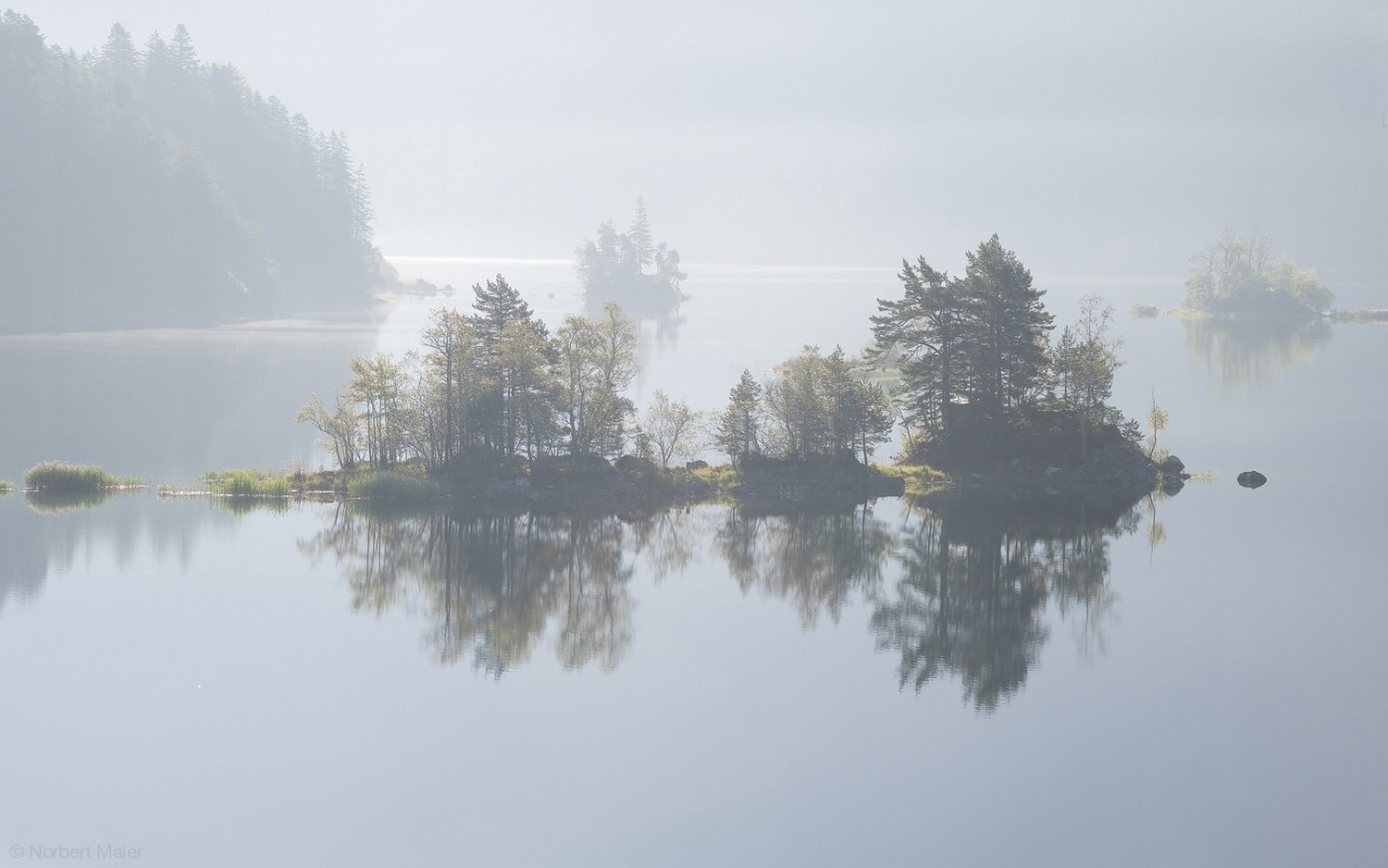 General 1500x938 nature photography landscape lake trees mist calm waters reflection island daylight