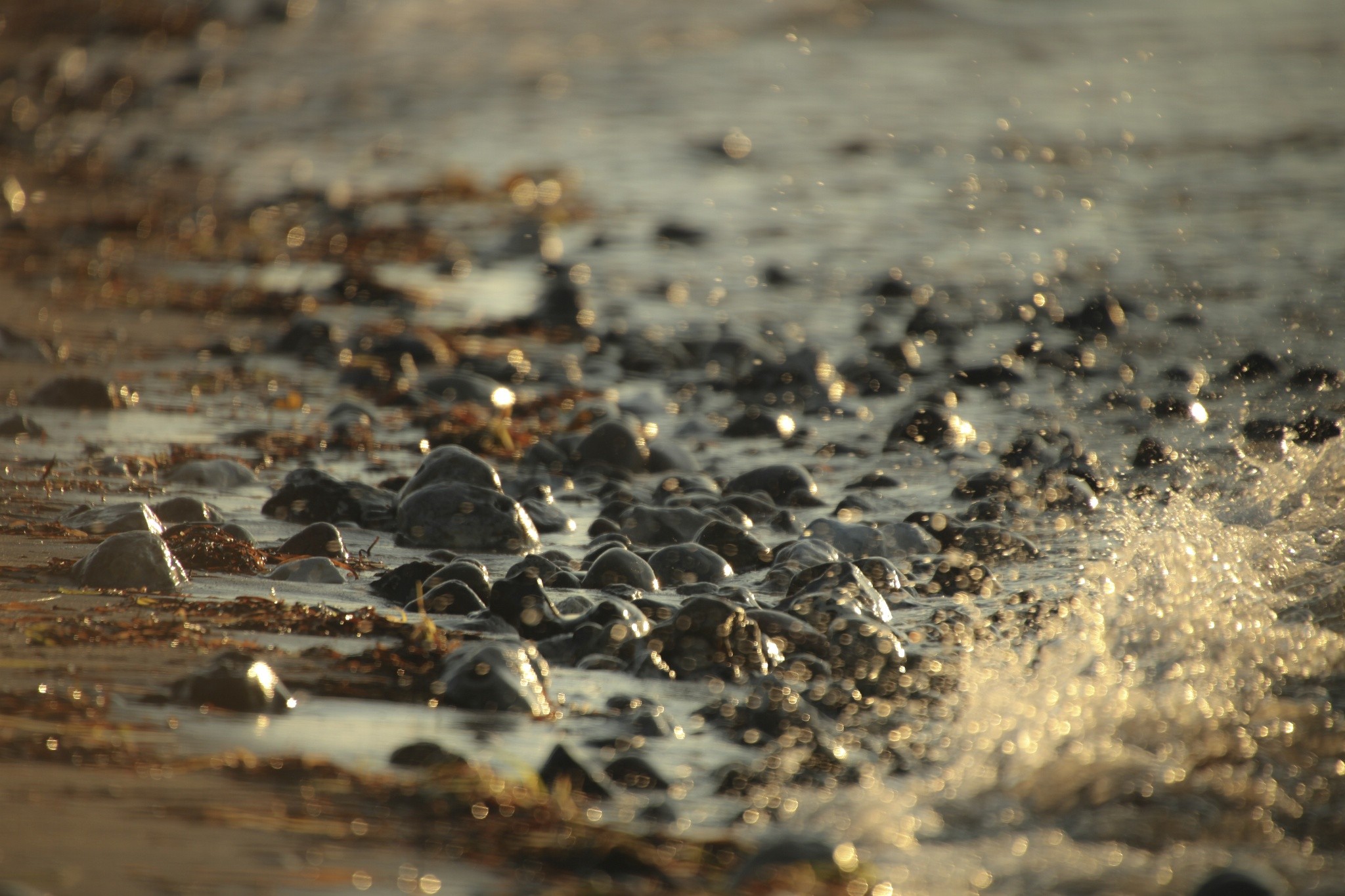 General 2048x1365 photography macro depth of field waves beach water stones nature