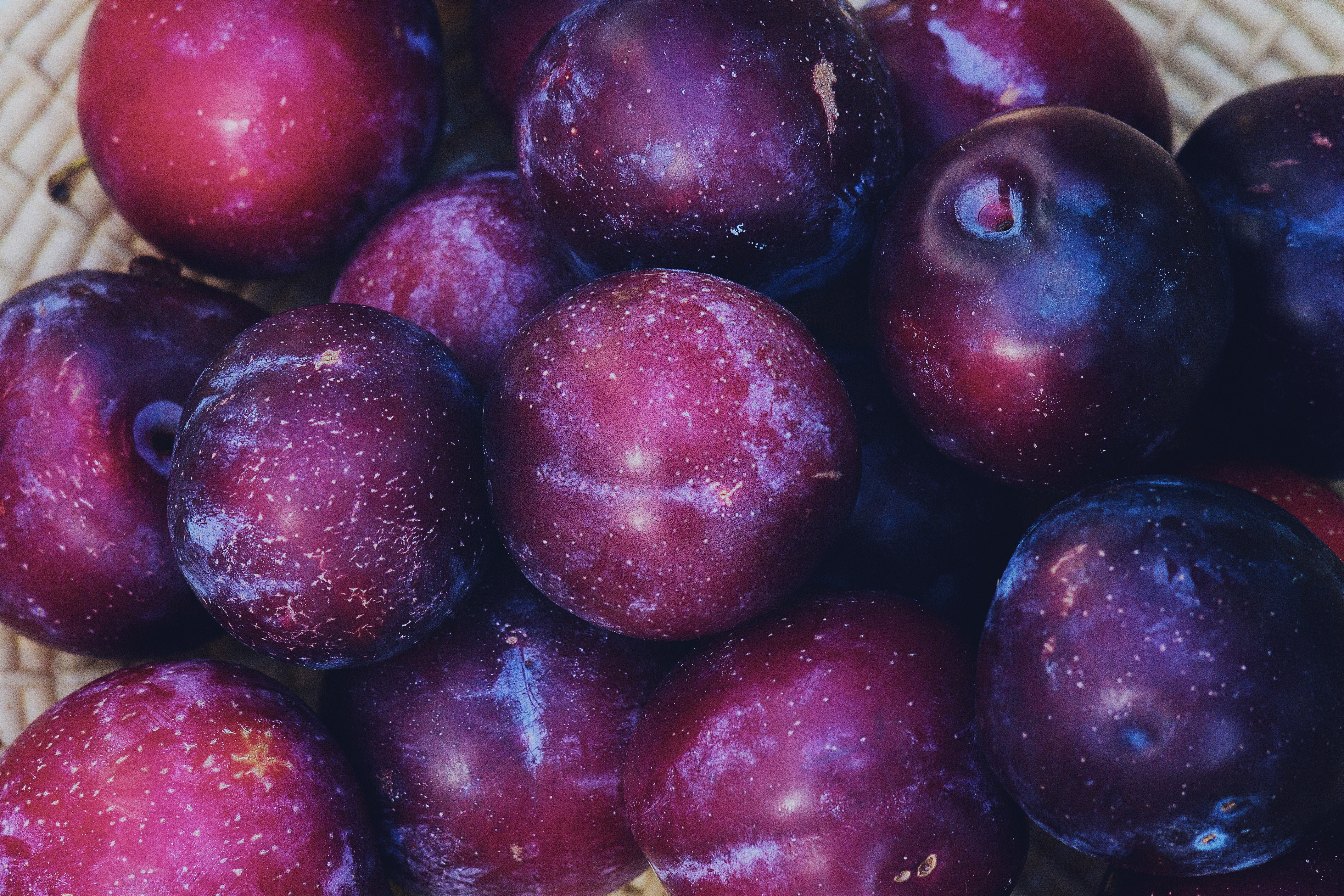 General 4272x2848 fruit macro purple plums (fruits) food