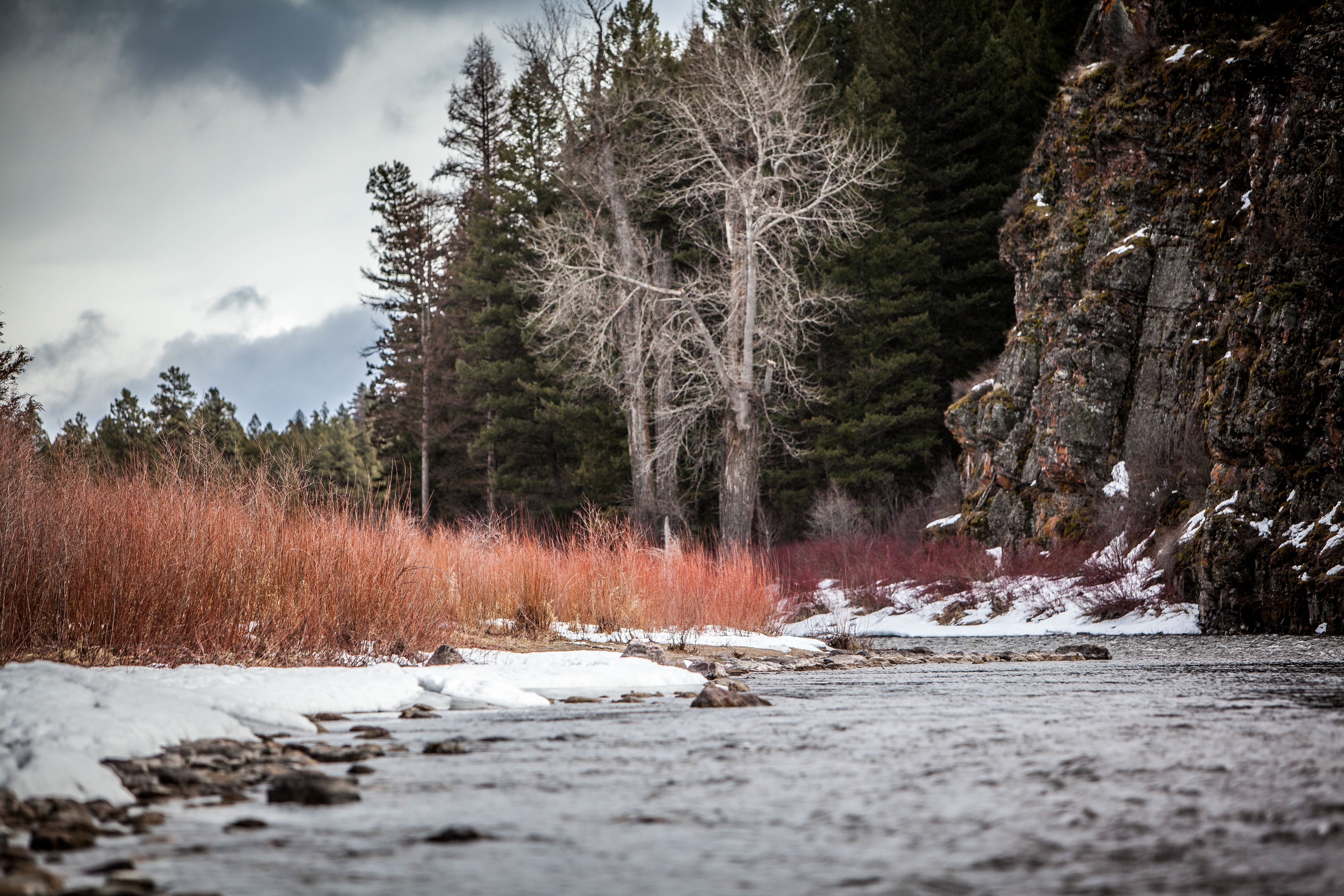 General 5616x3744 nature water trees winter river
