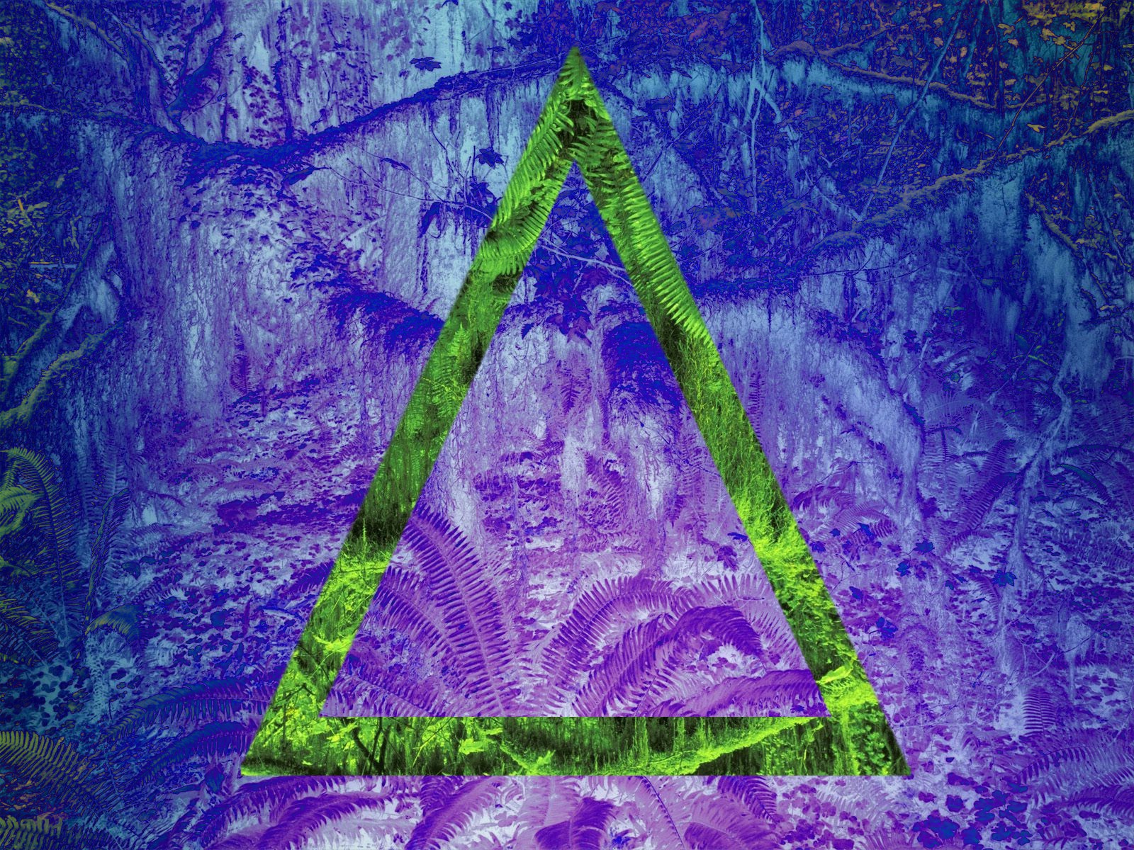 General 1600x1200 jungle triangle abstract geometry geometric figures digital art green