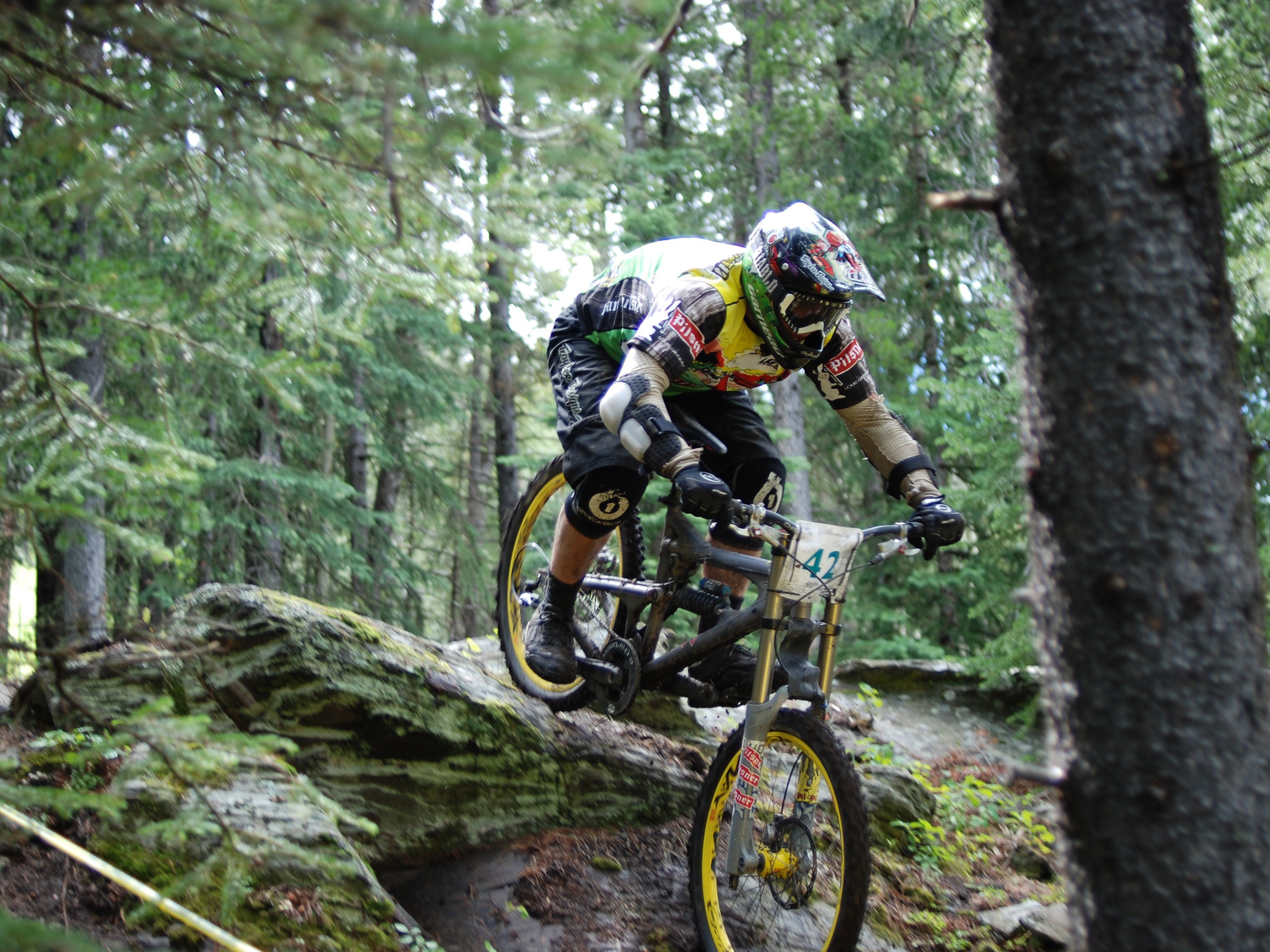 People 2560x1920 sport forest bicycle vehicle Downhill mountain biking