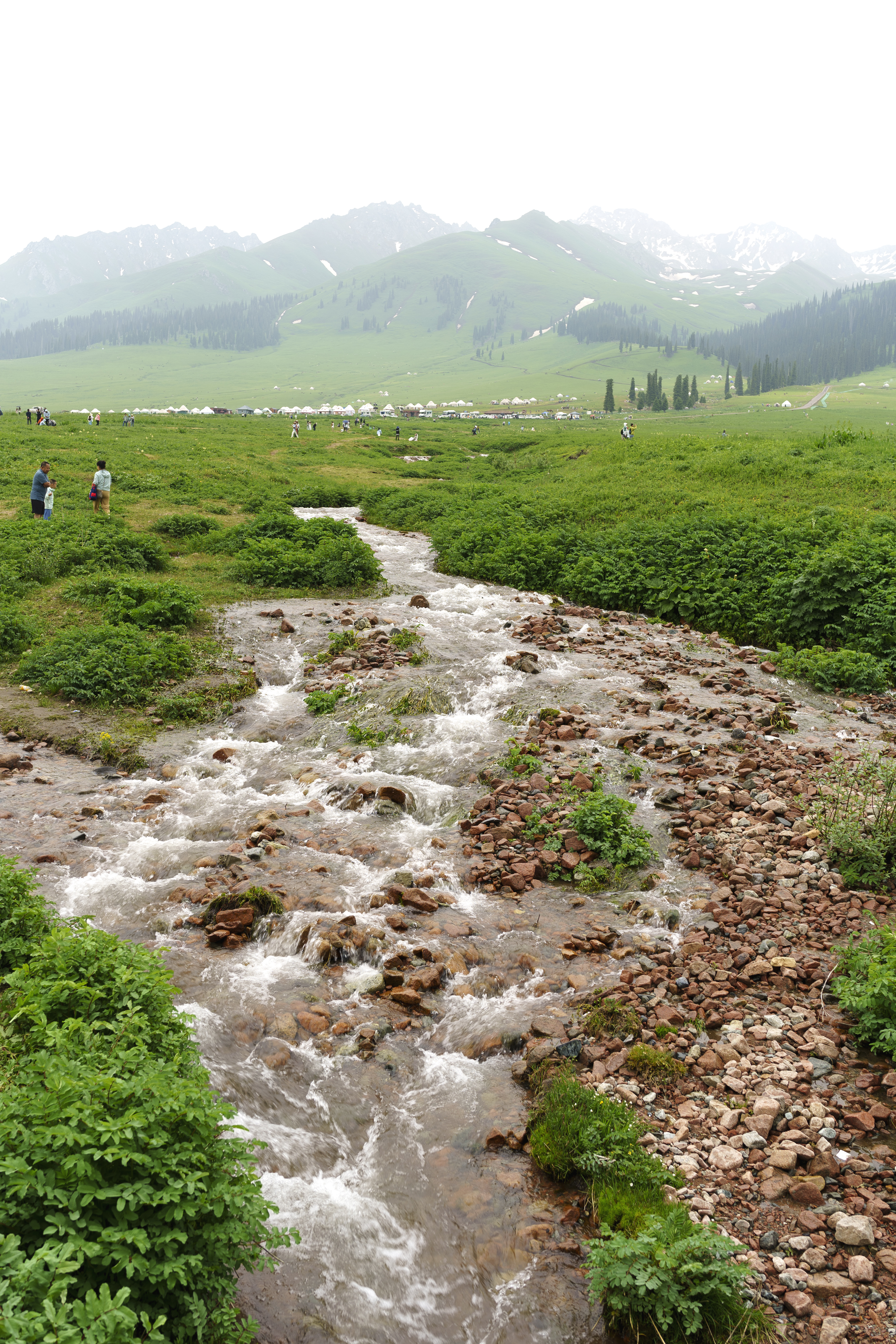 General 3921x5881 landscape creeks grass China Xinjiang mountains portrait display water nature trees snow rocks