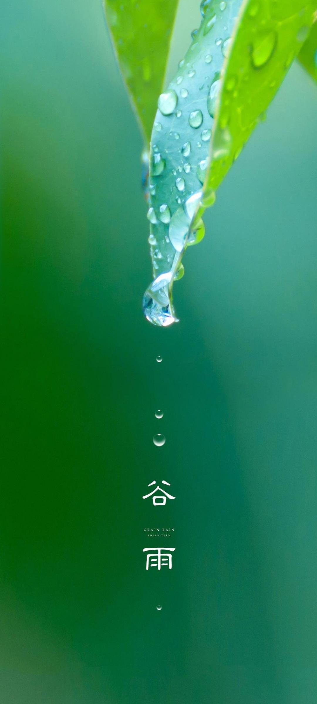 General 1080x2400 nature seasons portrait display water drops