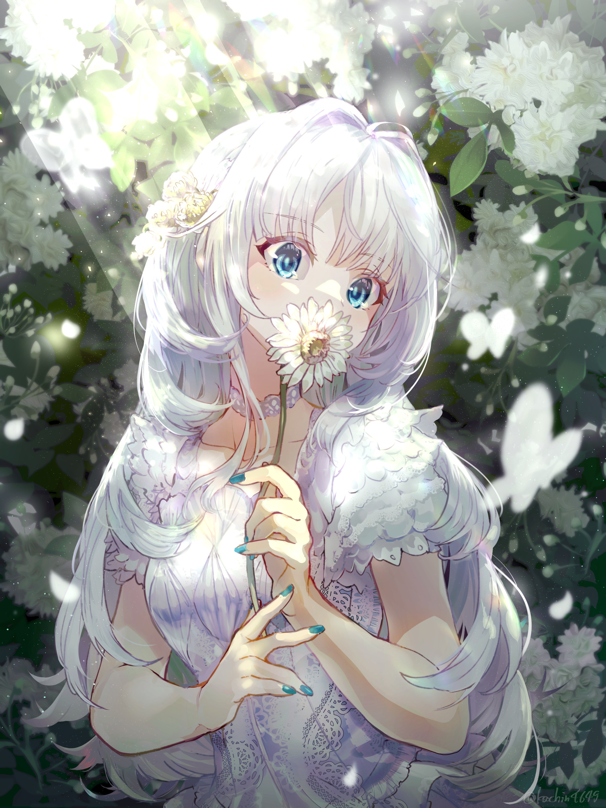 Anime 2389x3187 anime anime girls white hair blue eyes dandelion flowers petals butterfly