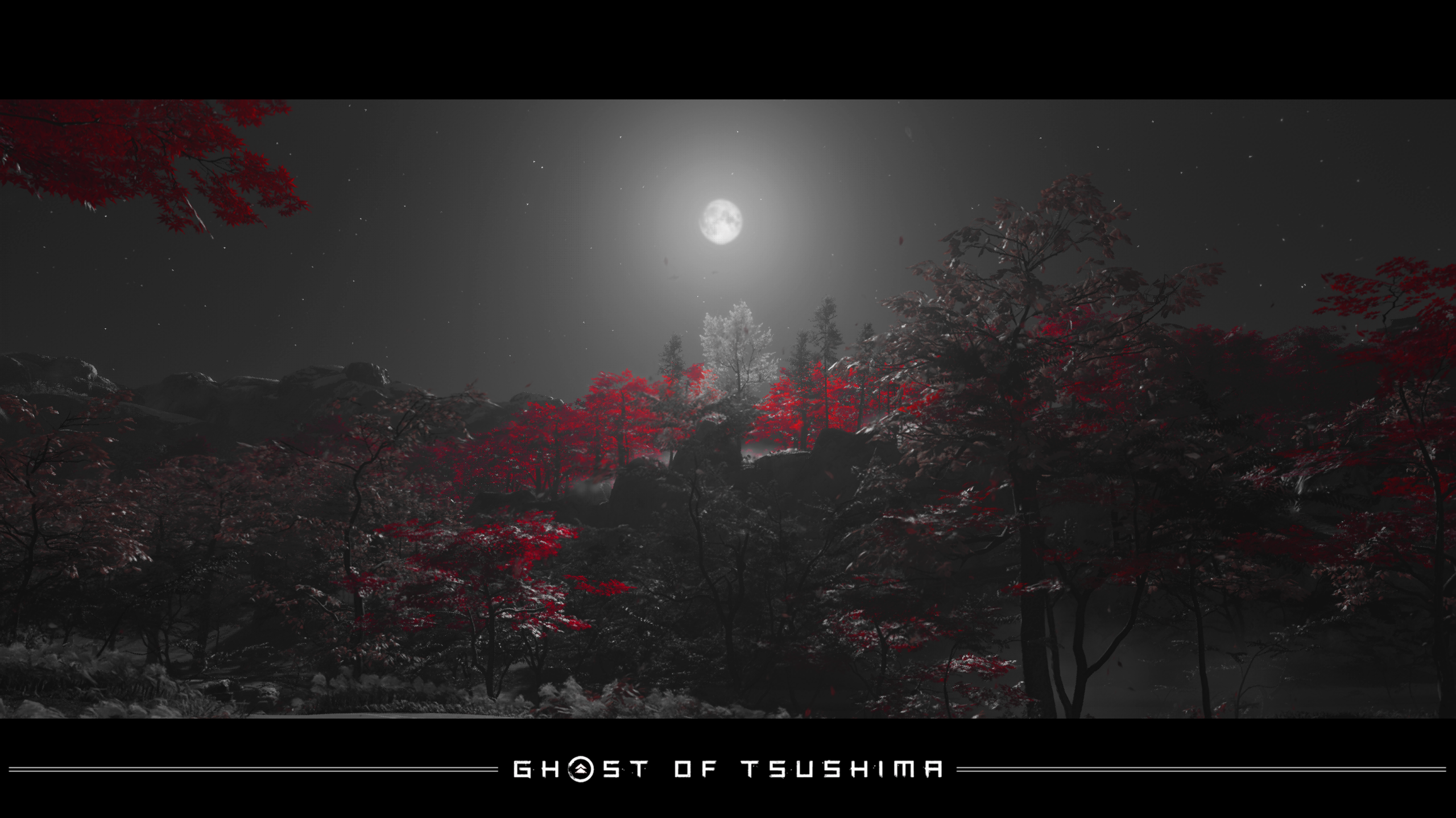 General 2560x1440 Ghost of Tsushima  nature night maple tree screen shot video games Sucker Punch Productions