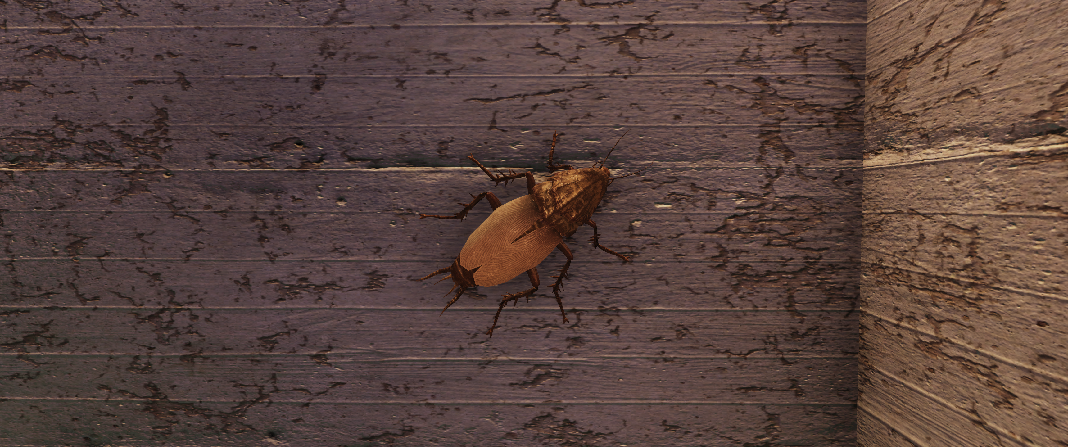 General 3440x1440 Fallout 76 Fallout cockroaches screen shot video game art insect video games closeup CGI