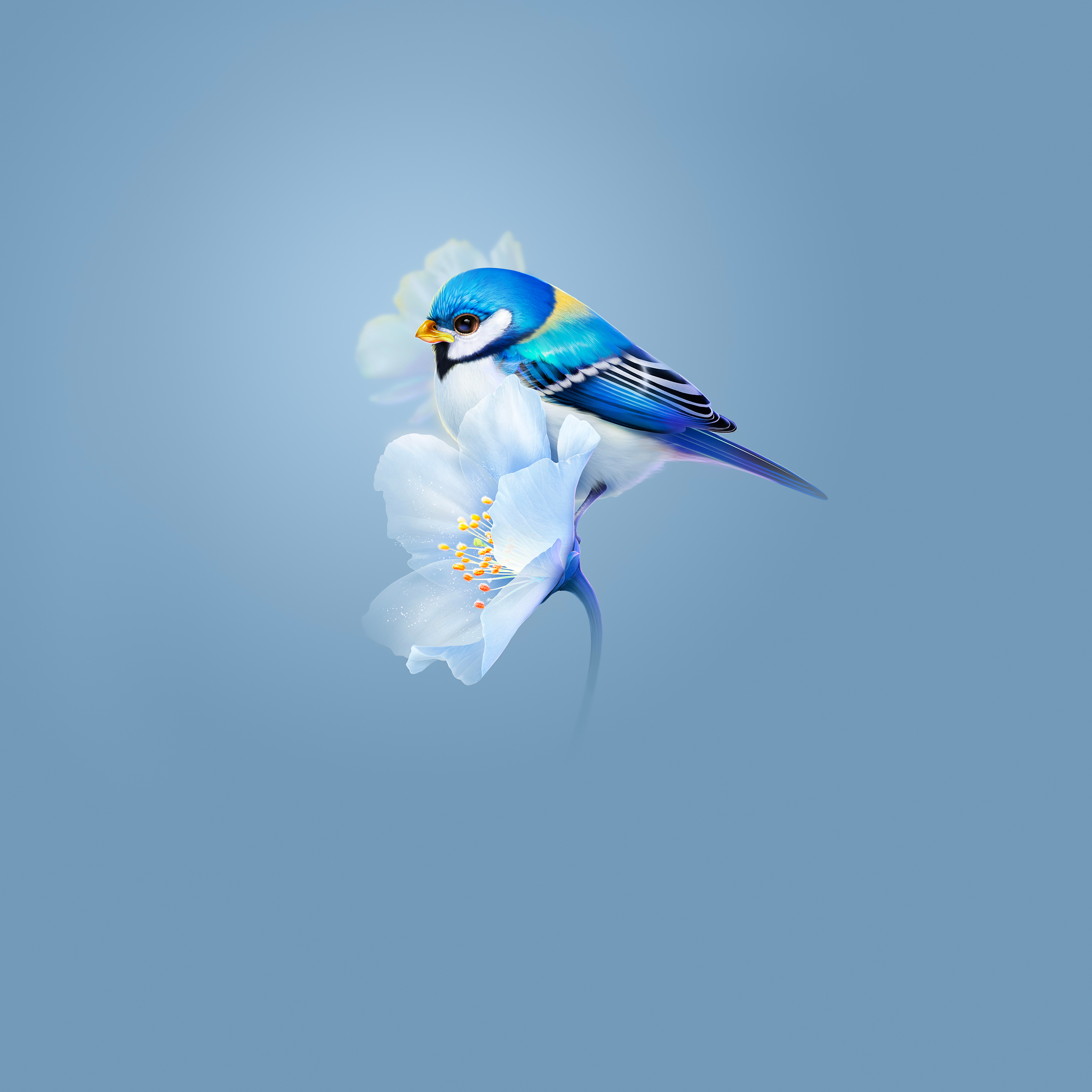 General 2700x2700 animal eyes AI art simple background birds blue background flowers titmouse animals