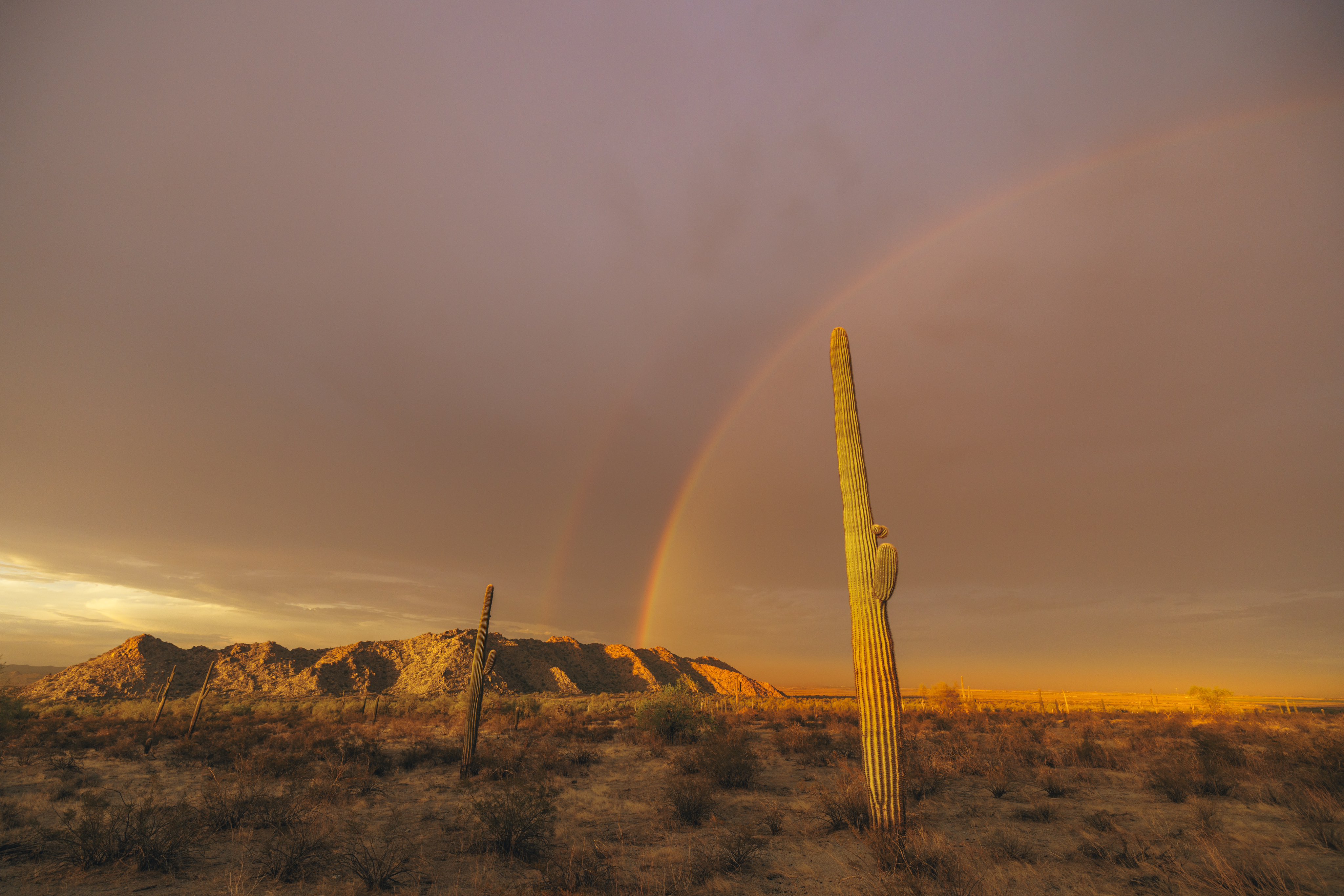 General 4096x2732 nature landscape sky mountains desert cactus rainbows