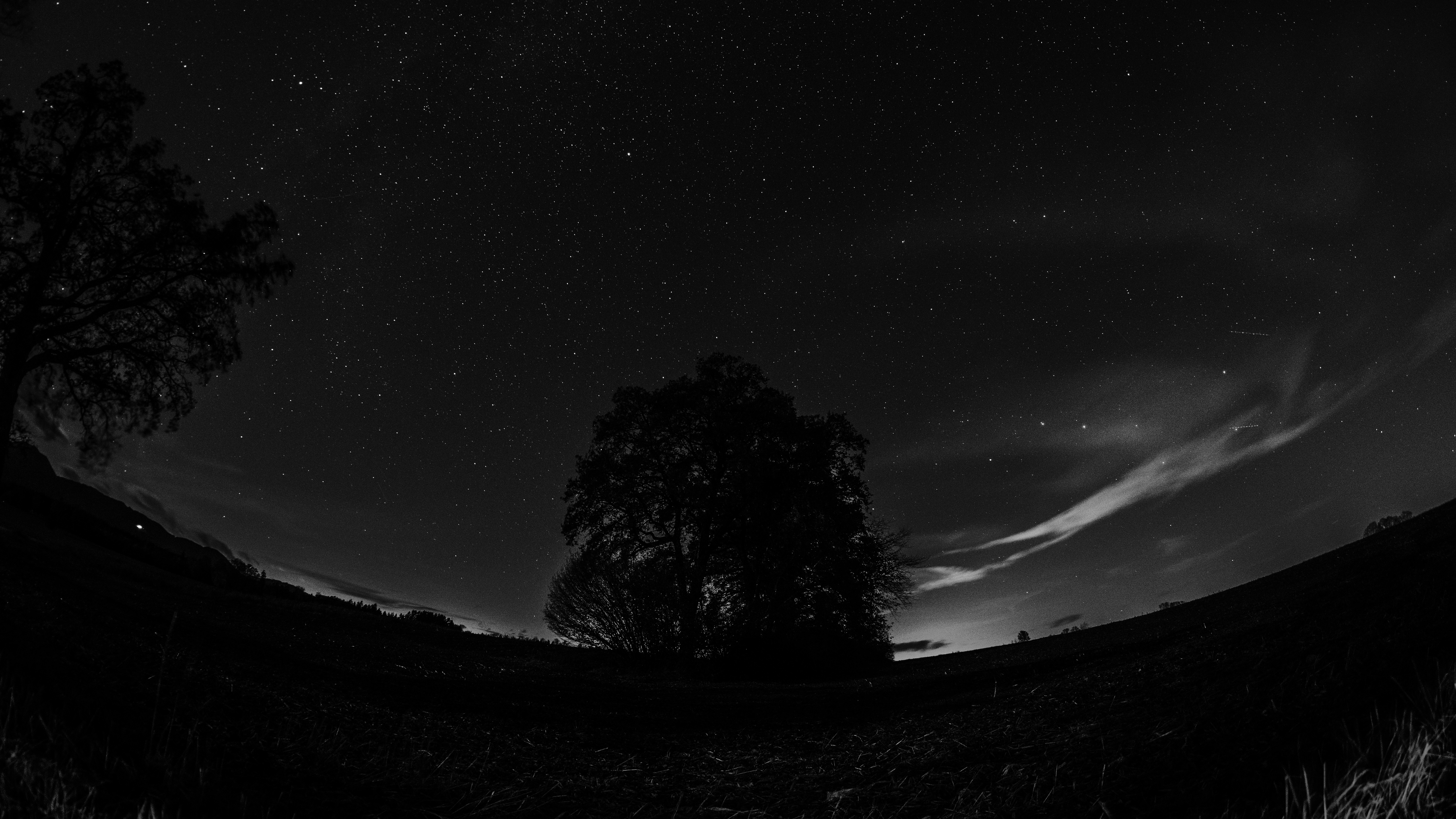 General 6000x3376 night nature trees night sky fisheye lens photography monochrome sky stars dark starred sky