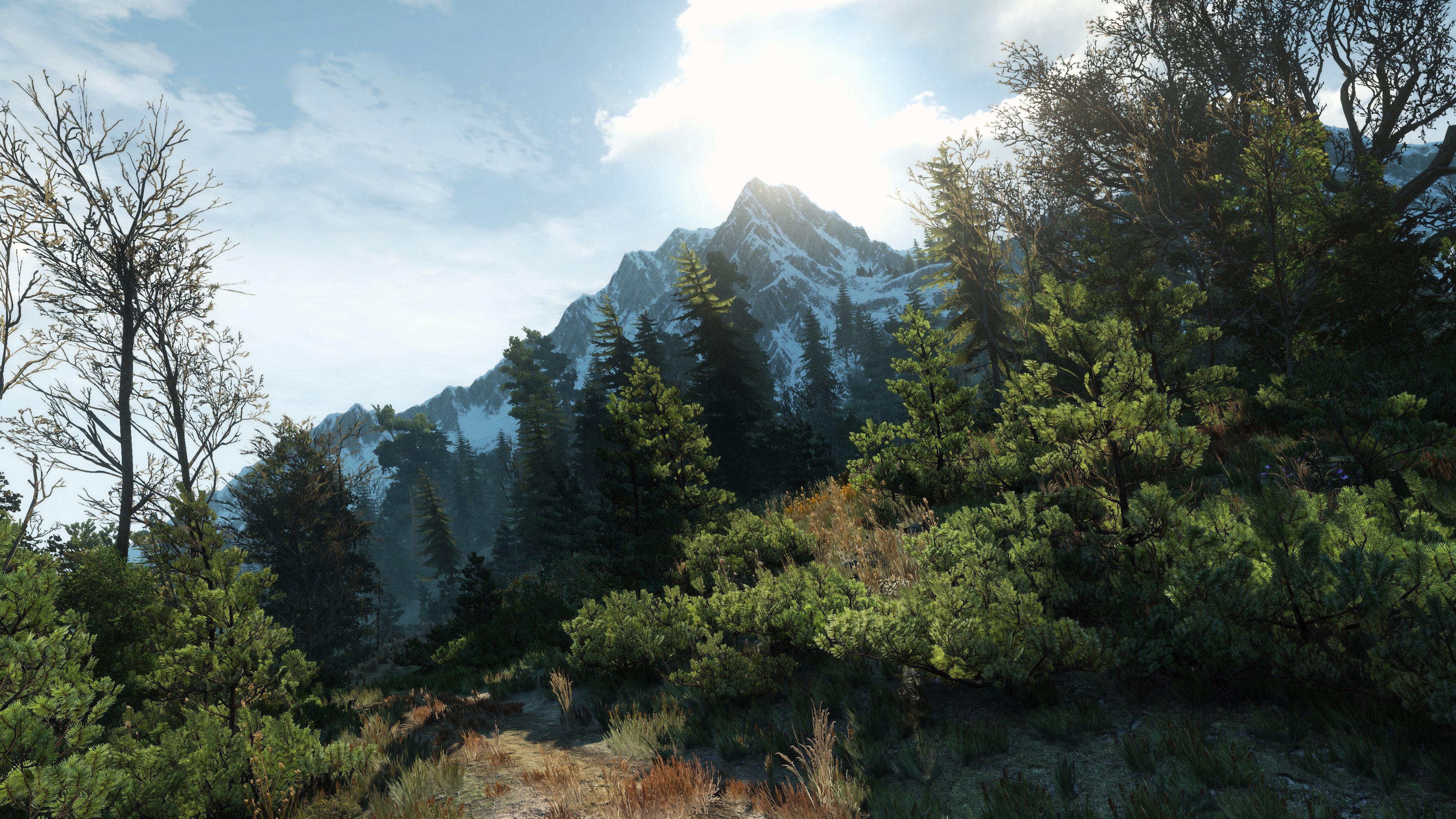 General 3840x2160 The Witcher 3: Wild Hunt PC gaming screen shot mountains landscape video game art sunlight video games nature CGI trees path snowy mountain snow plants