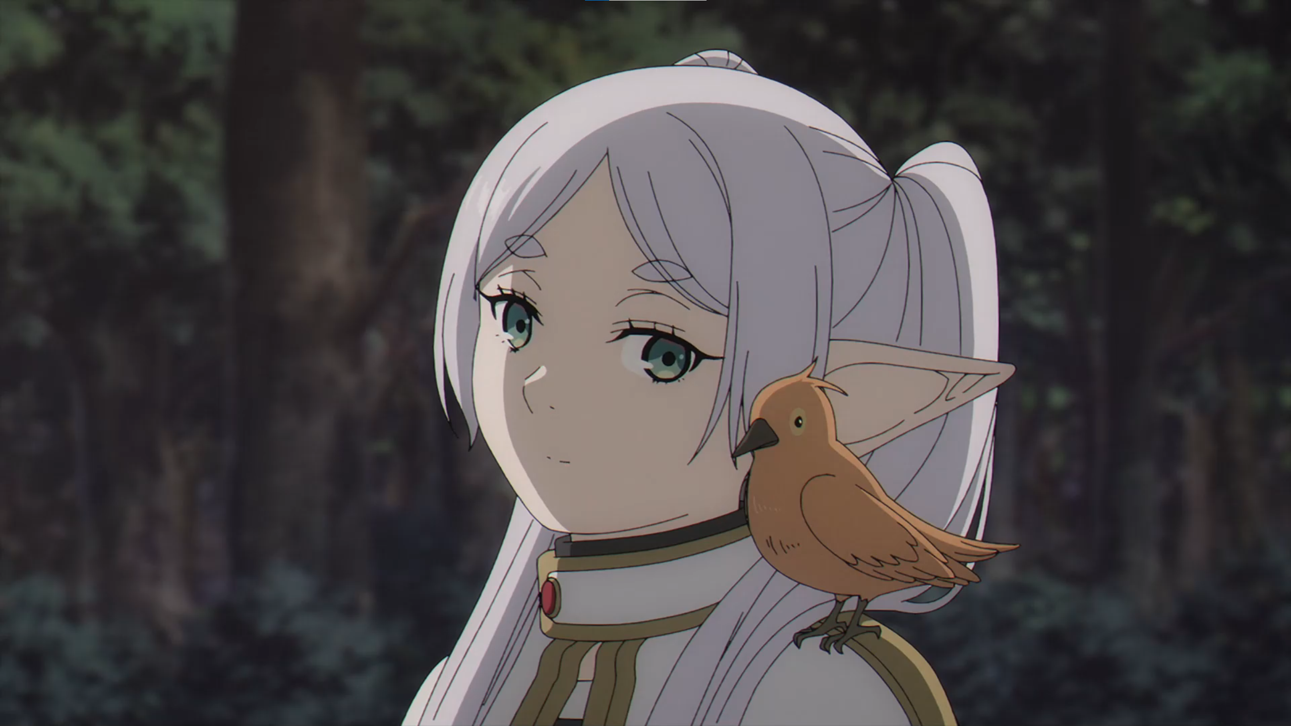Anime 2560x1440 Sousou No Frieren anime screen shot elven birds pointy ears Frieren twintails Anime screenshot beak trees anime girls long hair closed mouth animals