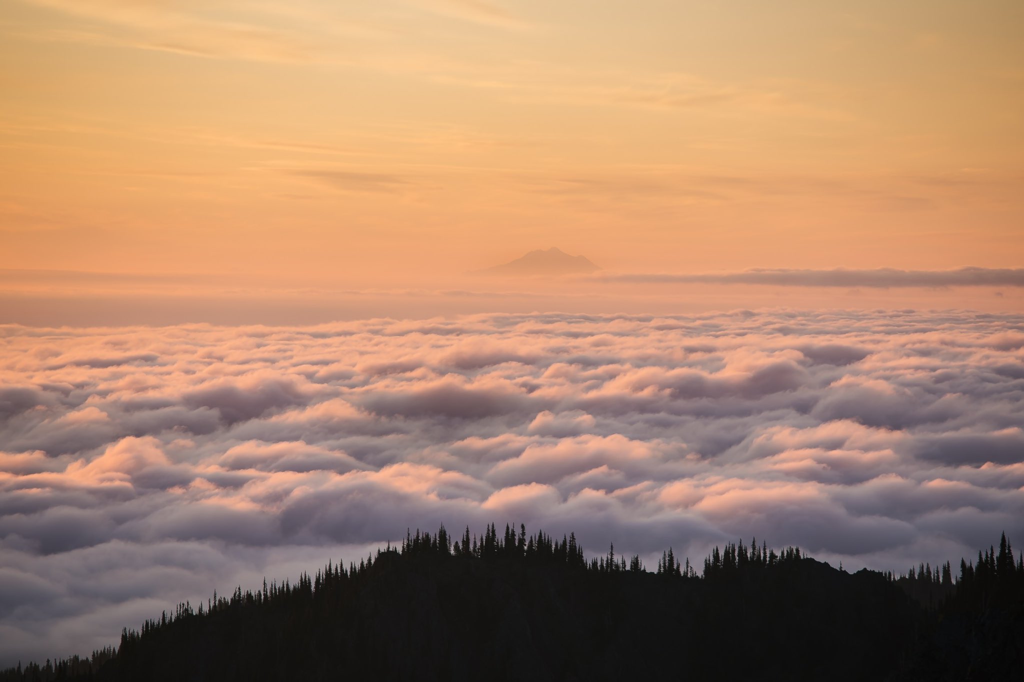 General 2048x1364 landscape nature sky clouds pine trees forest trees aerial view