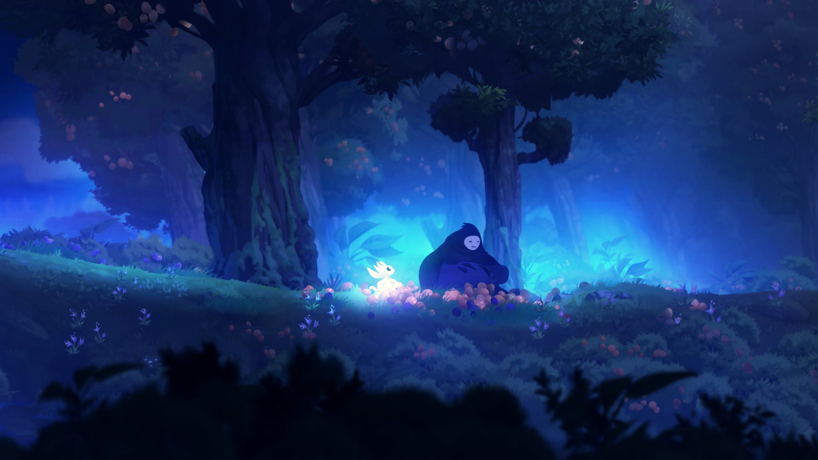 General 1600x900 Ori Ori and the Blind Forest video games screen shot