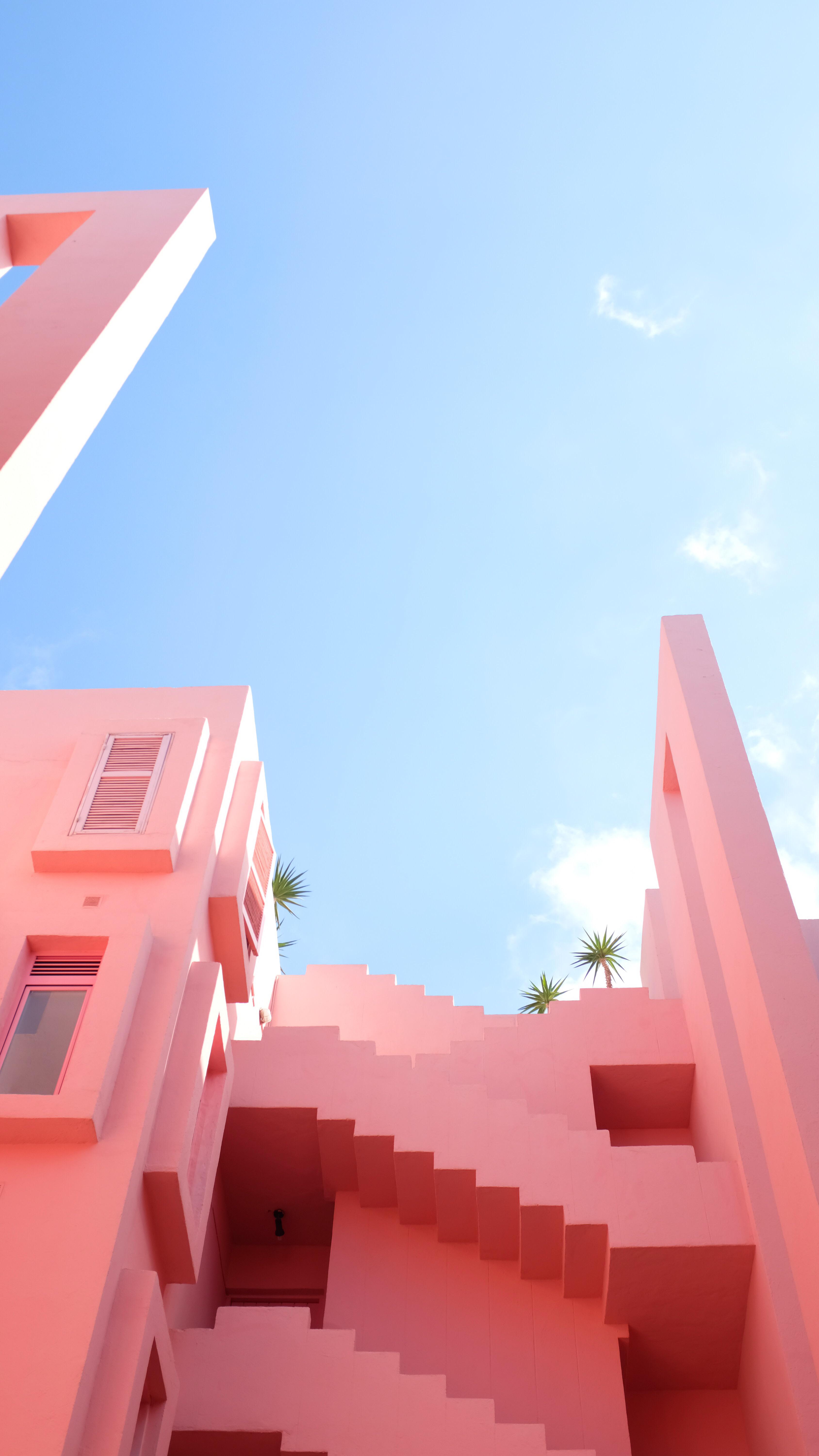 General 3376x6000 pink building house palm trees sky