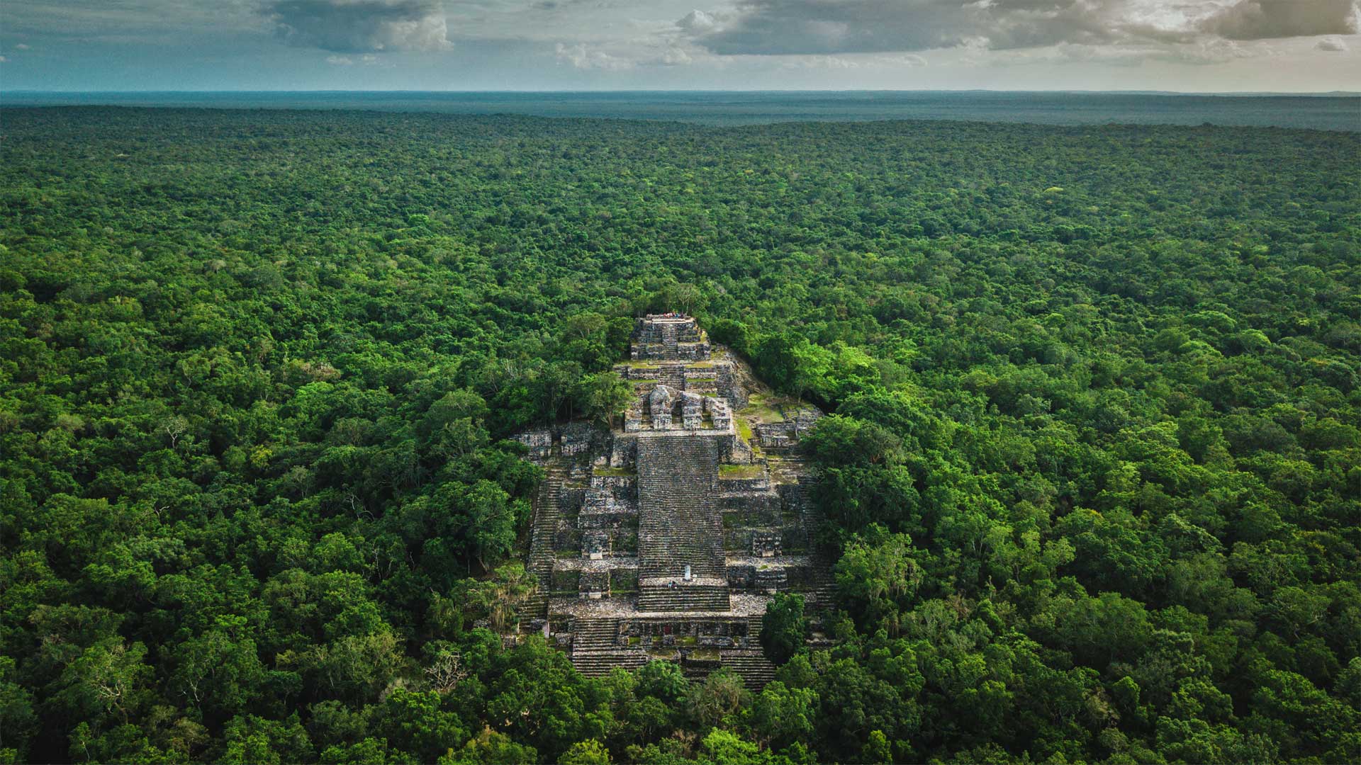 General 1920x1080 nature forest pyramid Maya (civilization) Calakmul Mexico jungle archeology ruins landscape
